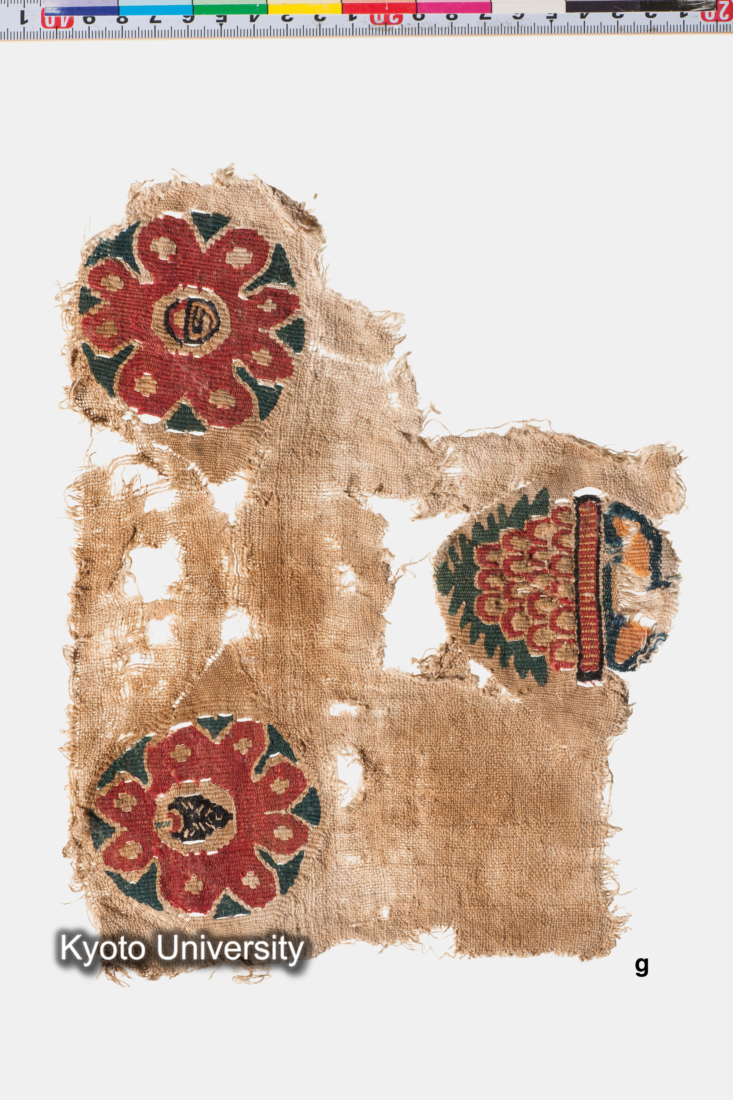 07-483_Oxyrhynchus031g_p019-020 (2)