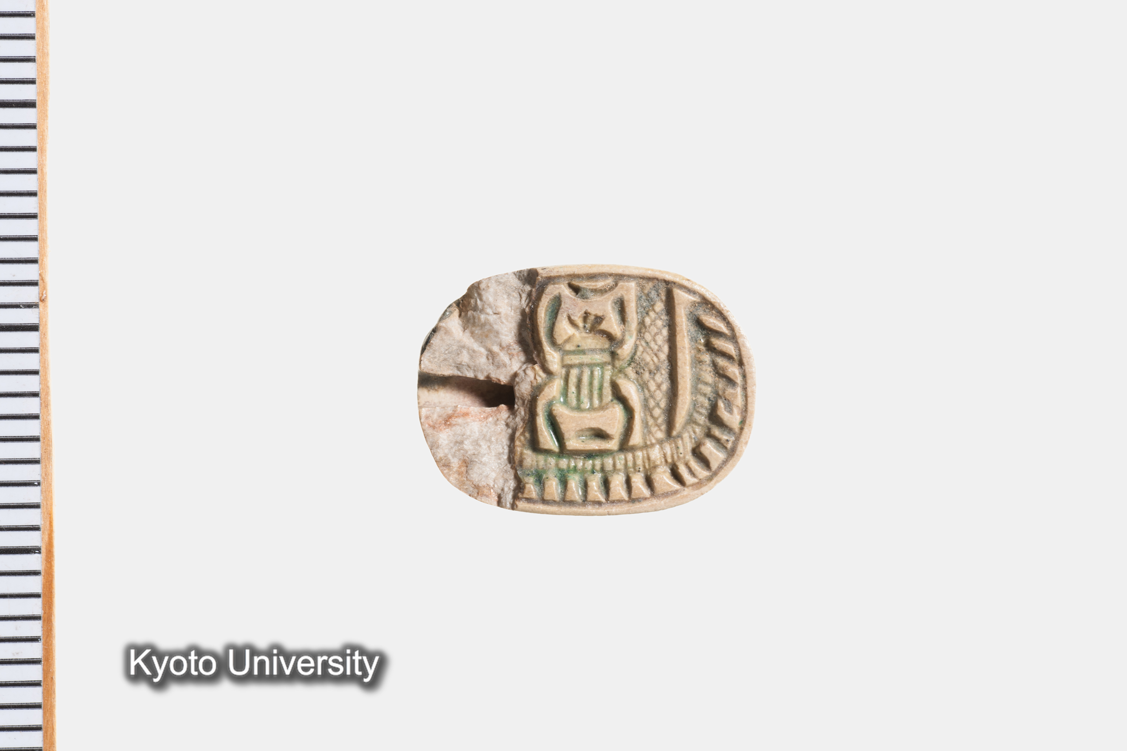 07-528_Qau el-Kebir166[a]_p070 (1)