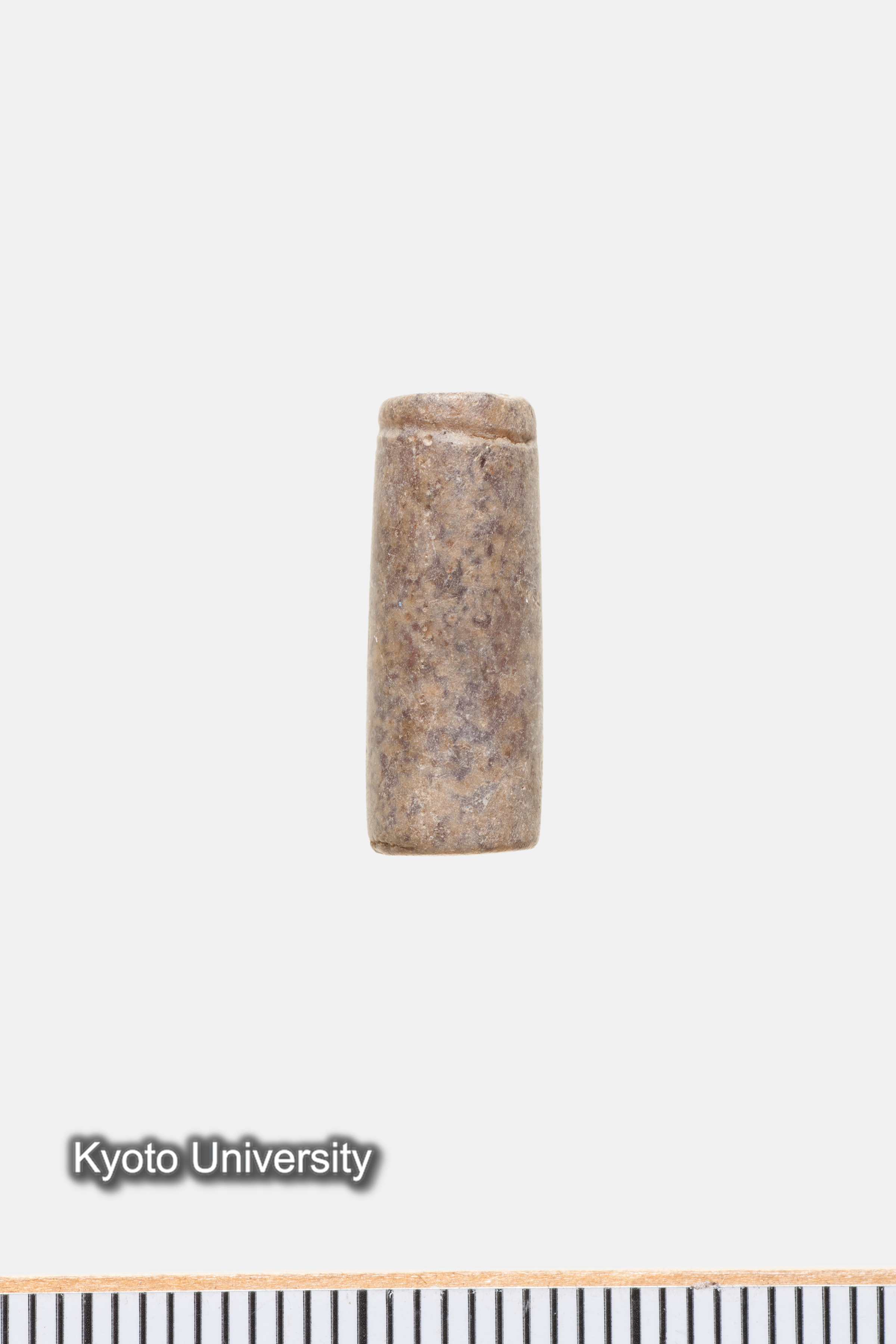 07-531_Qau el-Kebir166[b]_p070 (1)