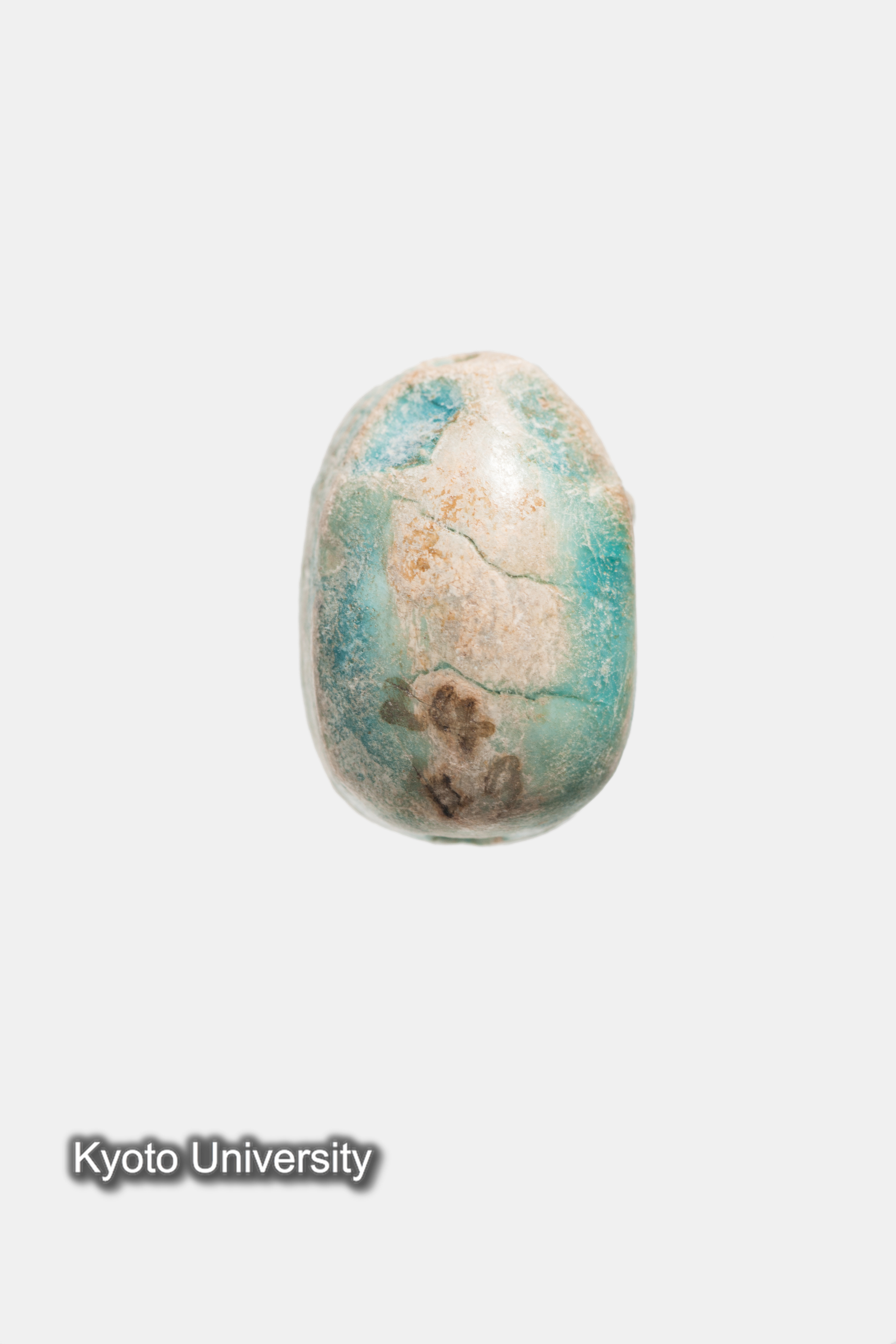 07-548_Qau el-Kebir171_p071 (1)