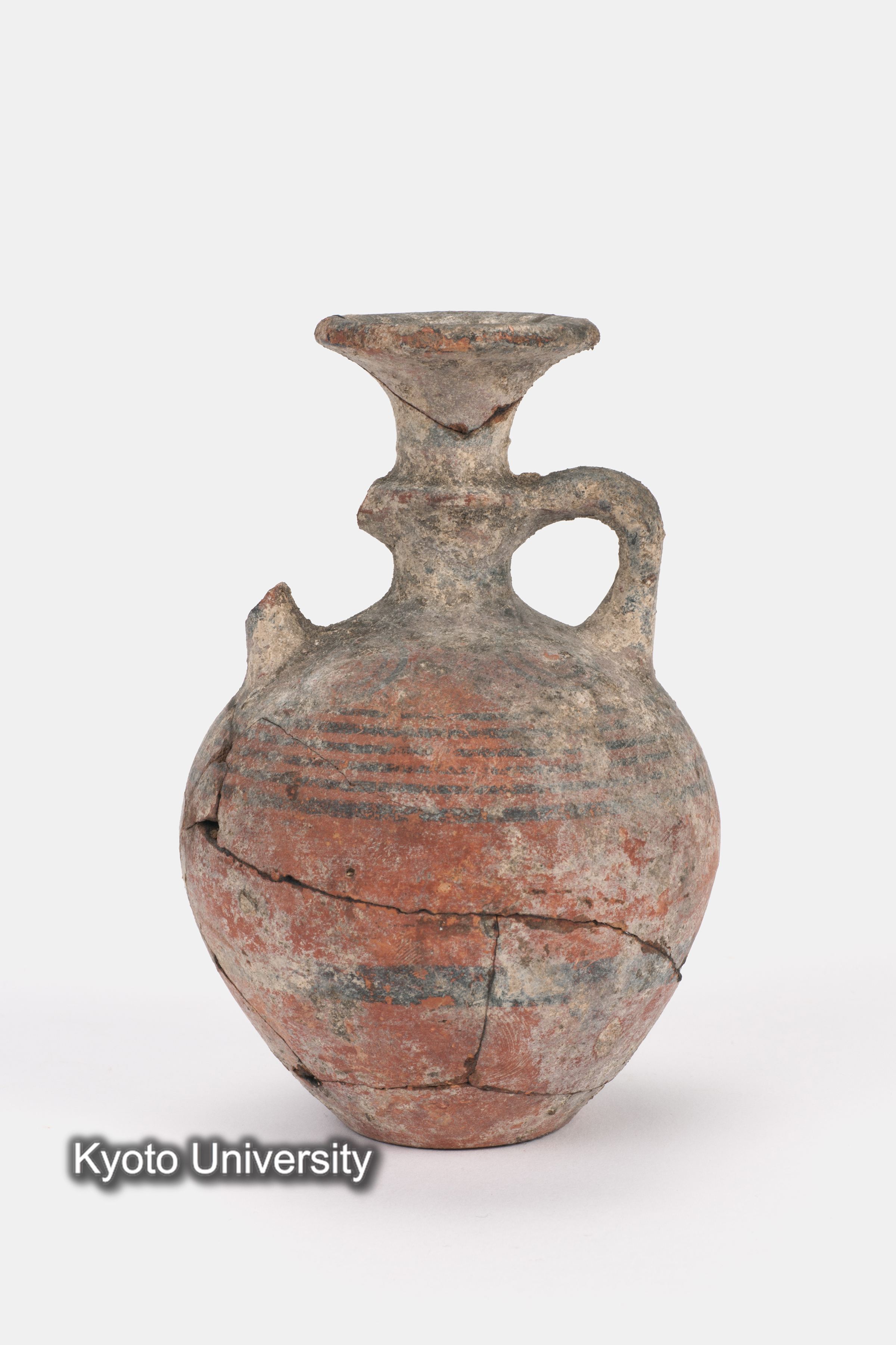 08-585_Daphnae001_p003 (1)