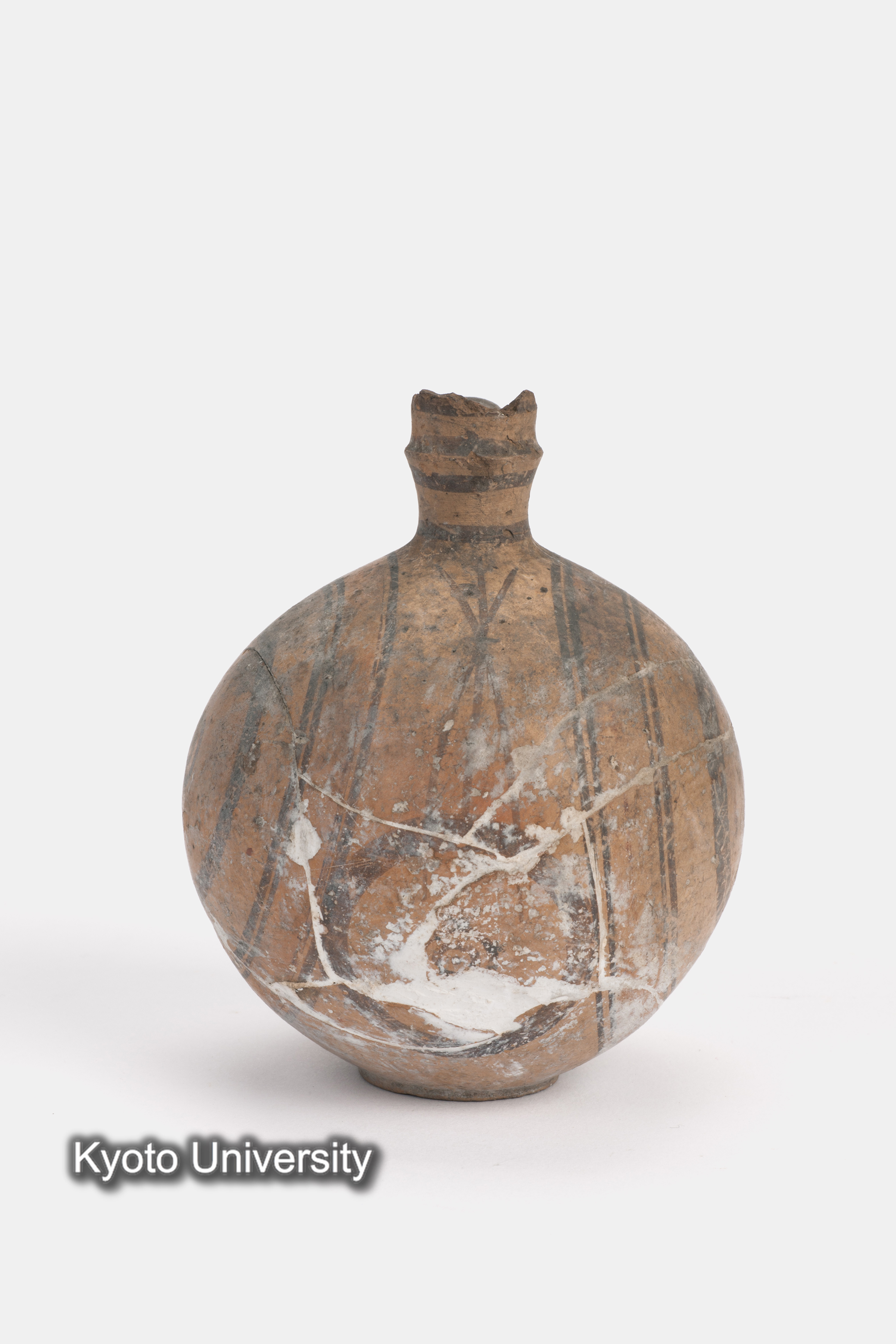 08-590_Daphnae002_p003 (1)