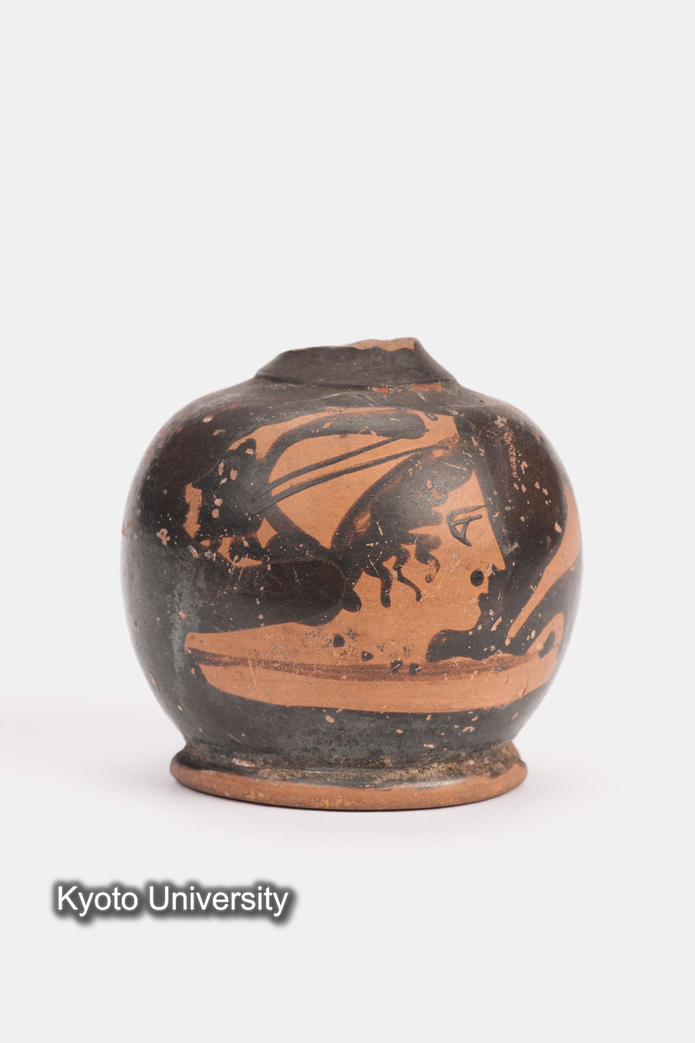 08-597_Daphnae003_p003 (1)