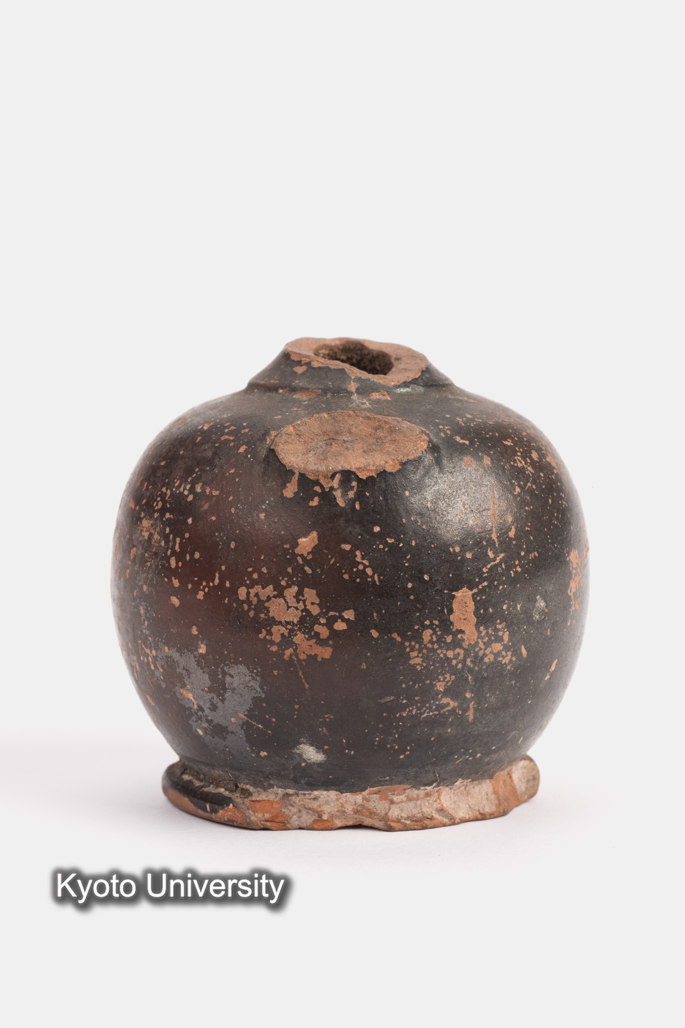 08-599_Daphnae003_p003 (1)