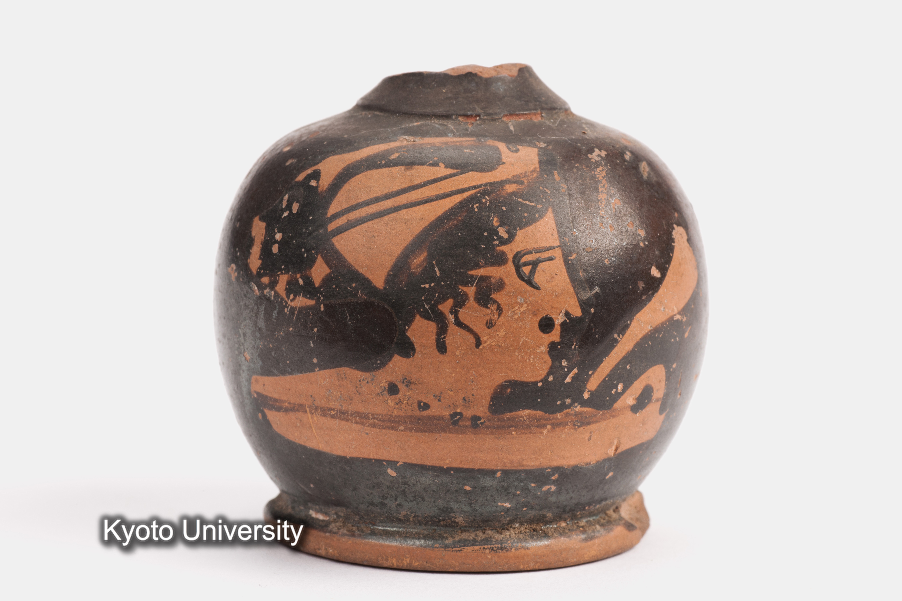 08-600_Daphnae003_p003 (1)