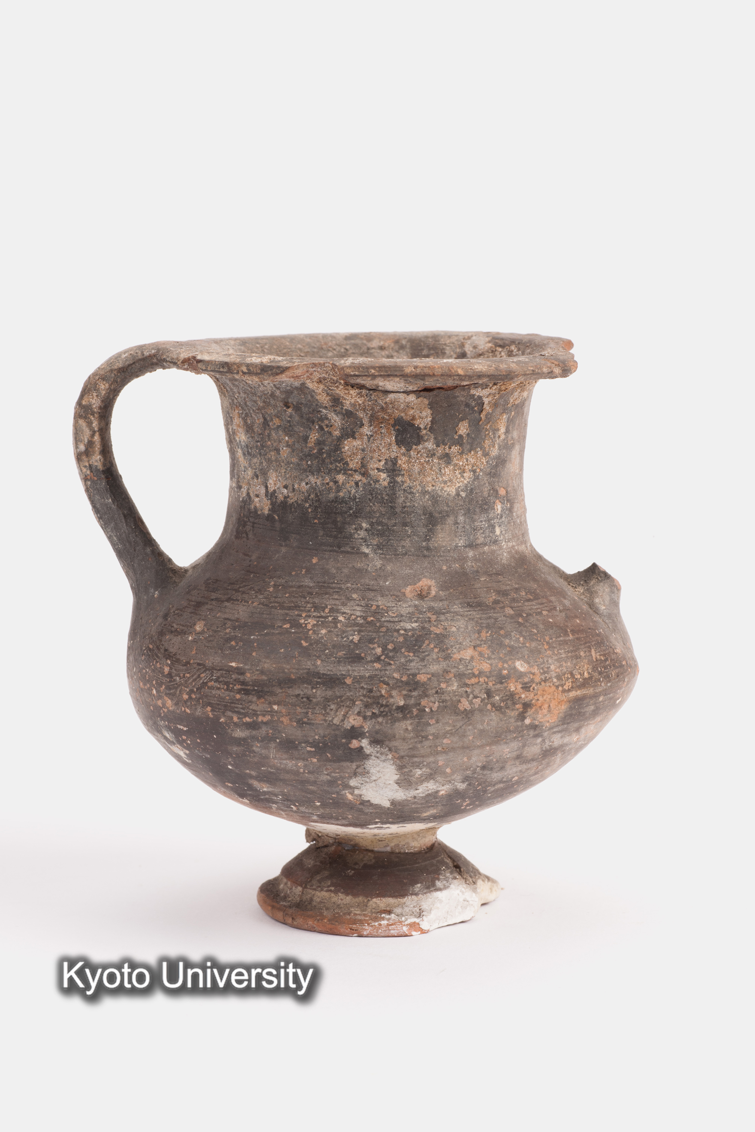 08-603_Daphnae004_p003 (1)