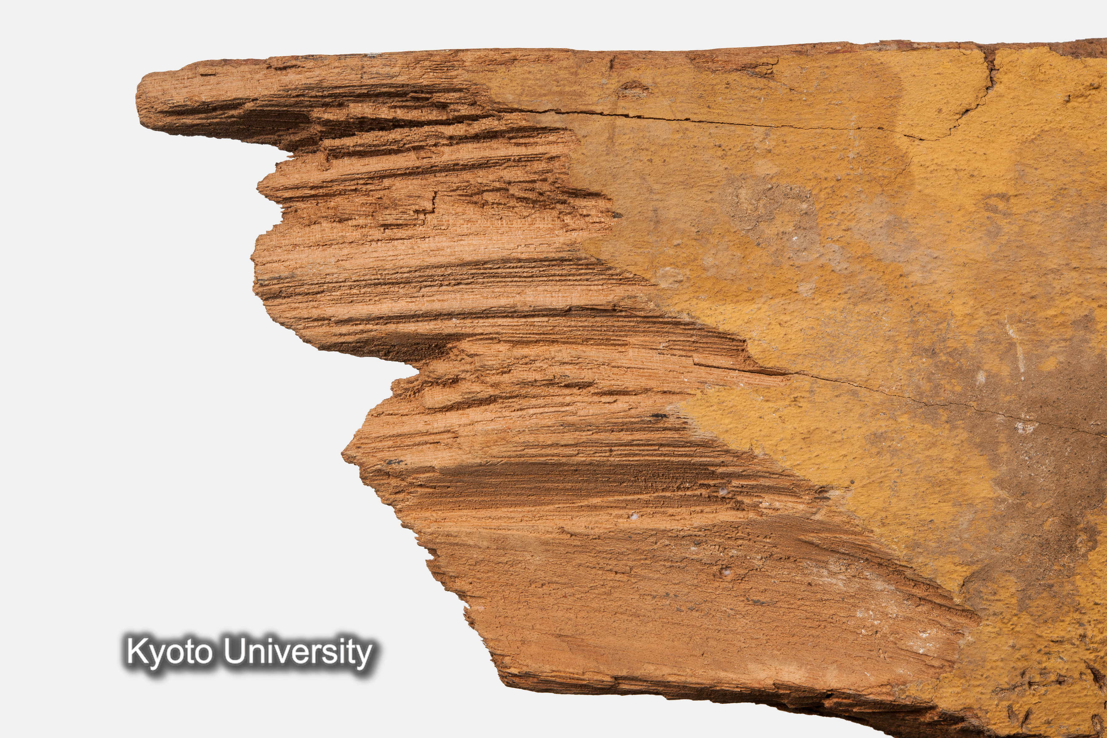 08-639_Deir el-Bahari052_p097-098 (1)