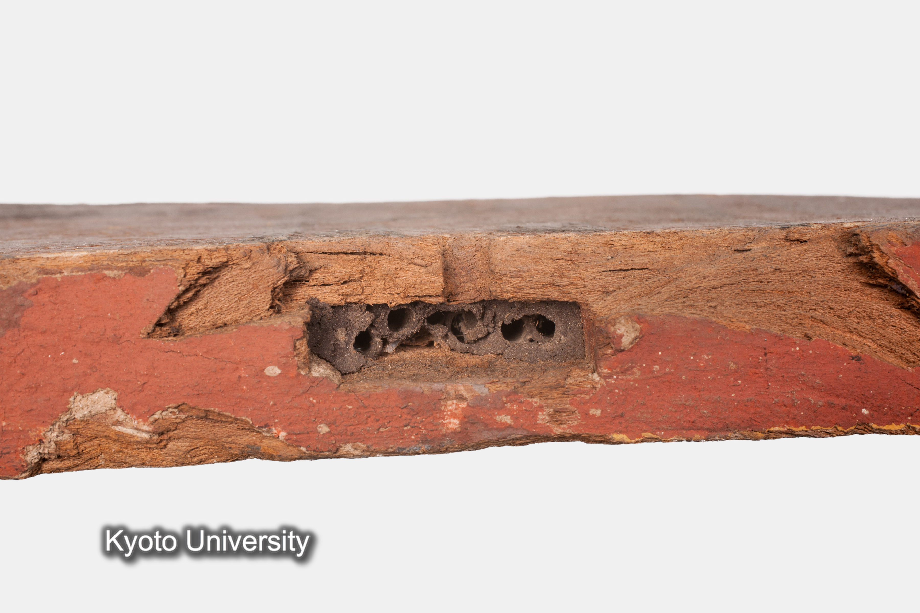 08-646_Deir el-Bahari054_p097-099 (1)