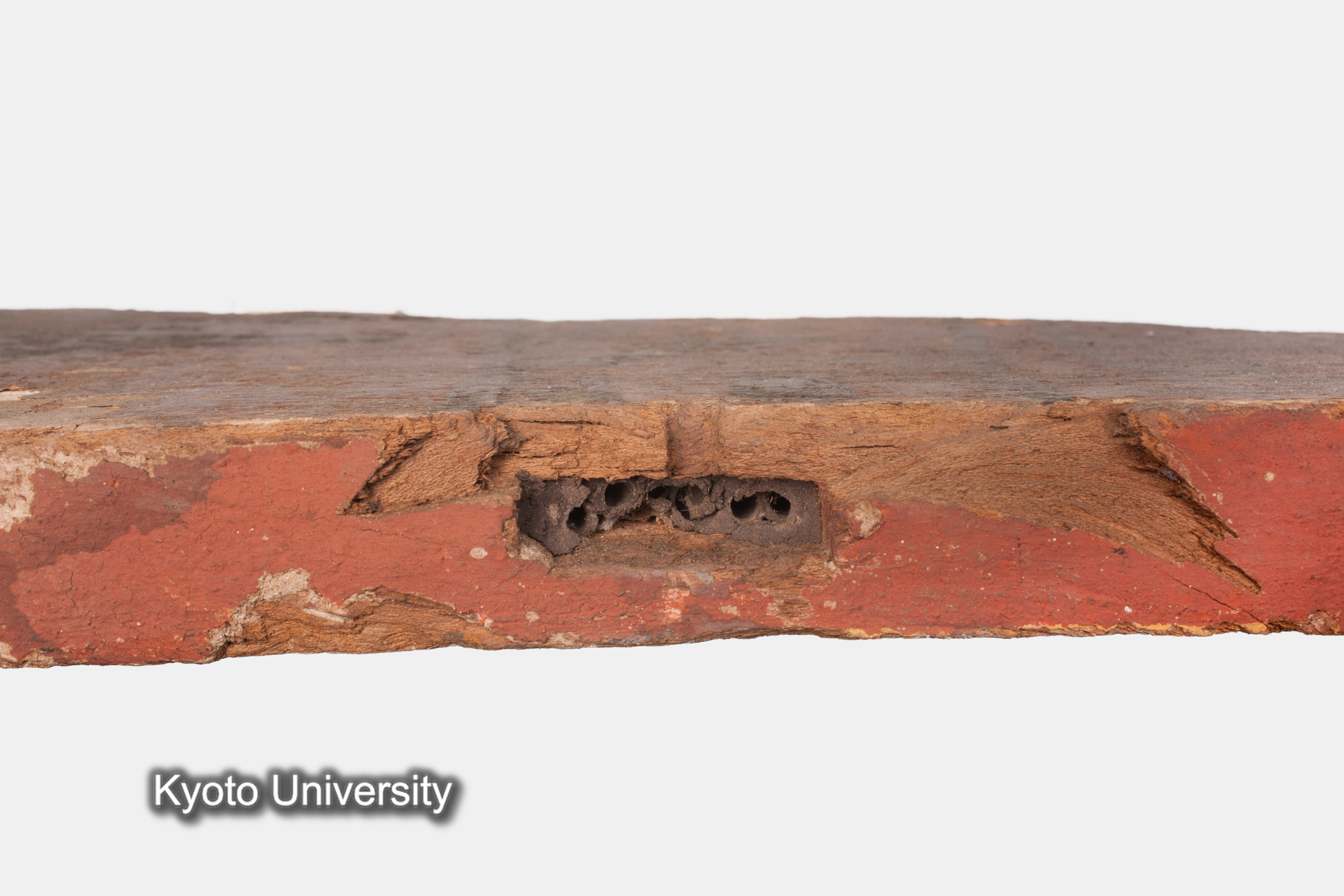 08-647_Deir el-Bahari054_p097-099 (1)