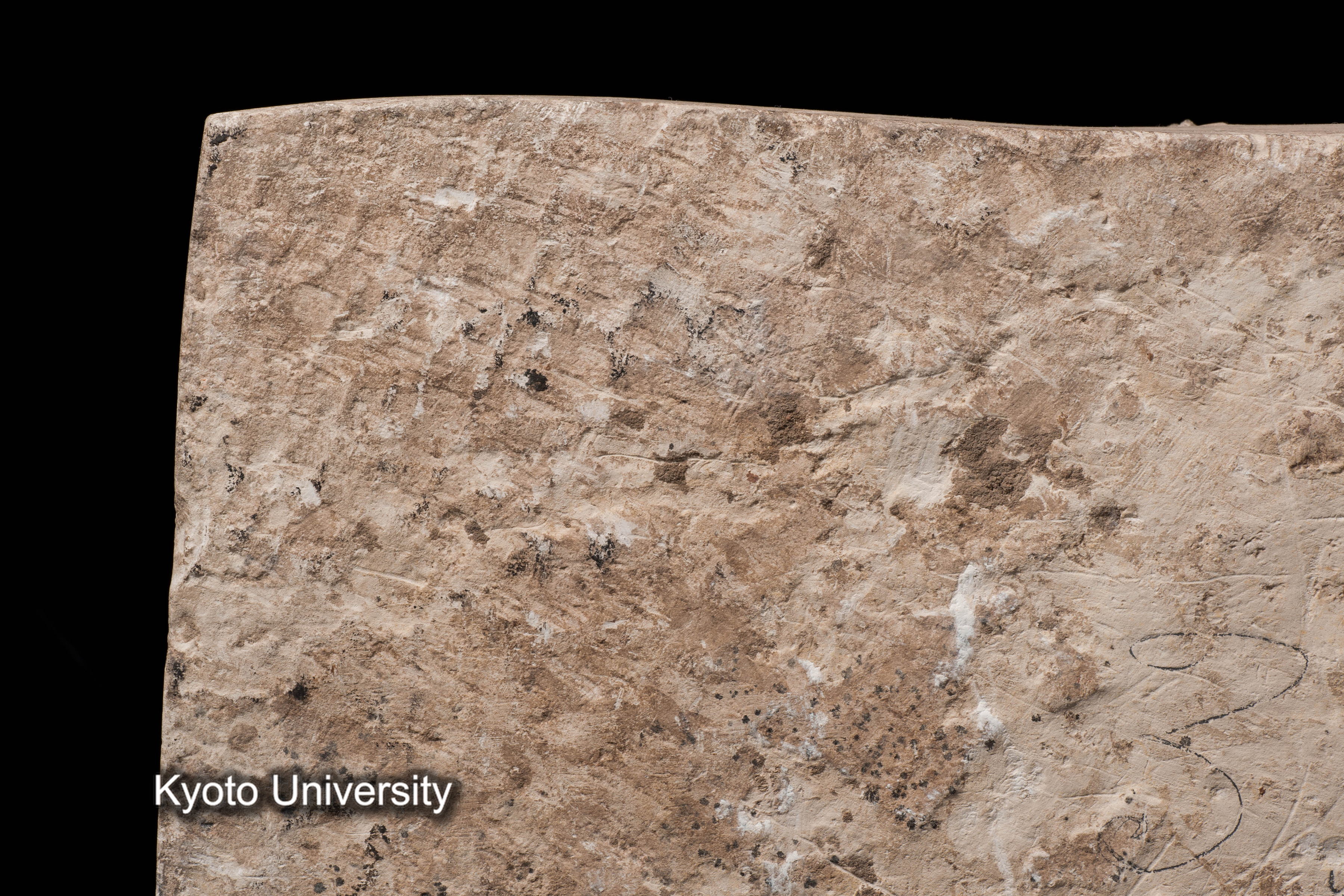 08-717_Abydos020_p082 (1)