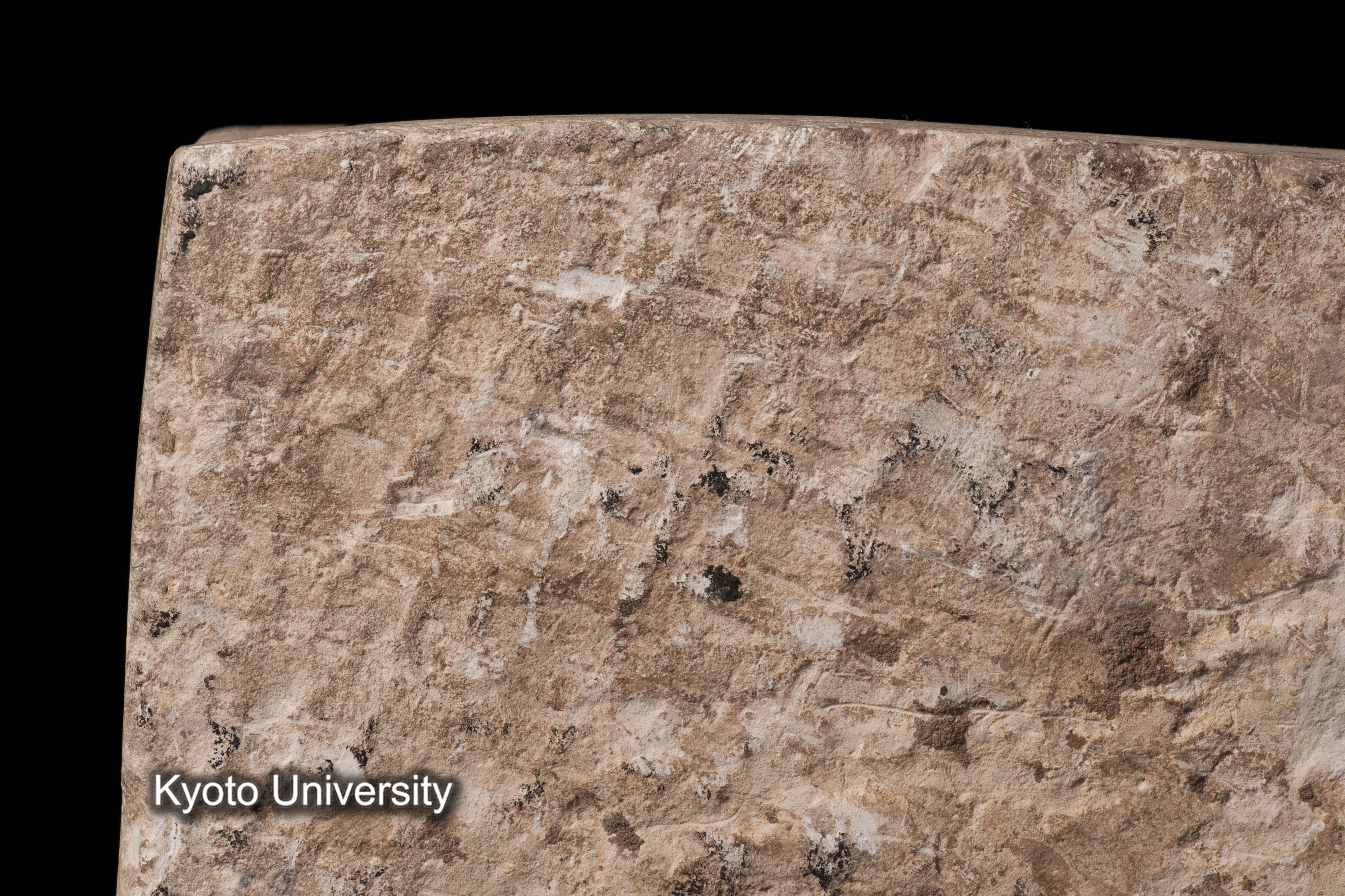 08-719_Abydos020_p082 (1)