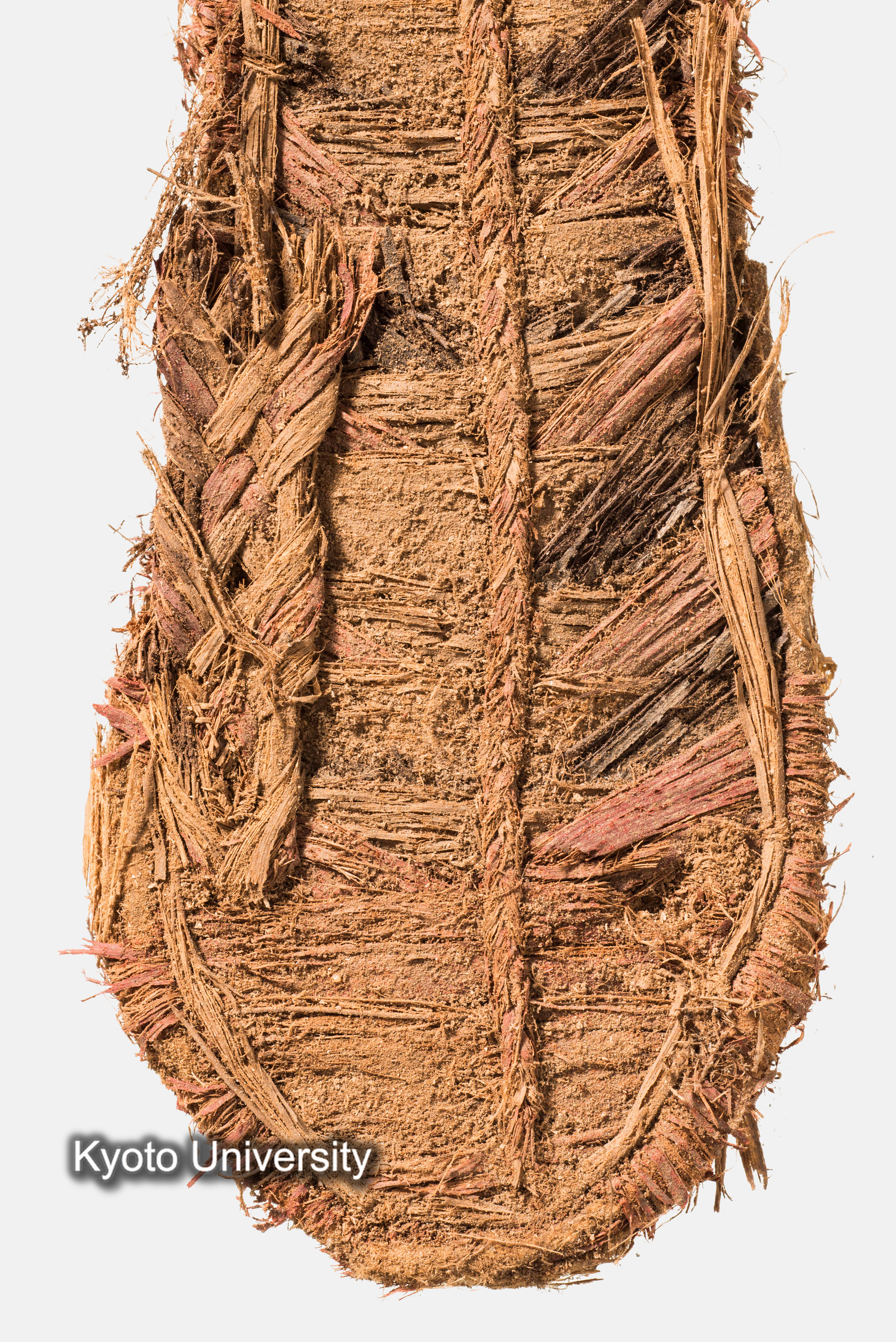 11-015_Oxyrhynchus032_p020 (1)