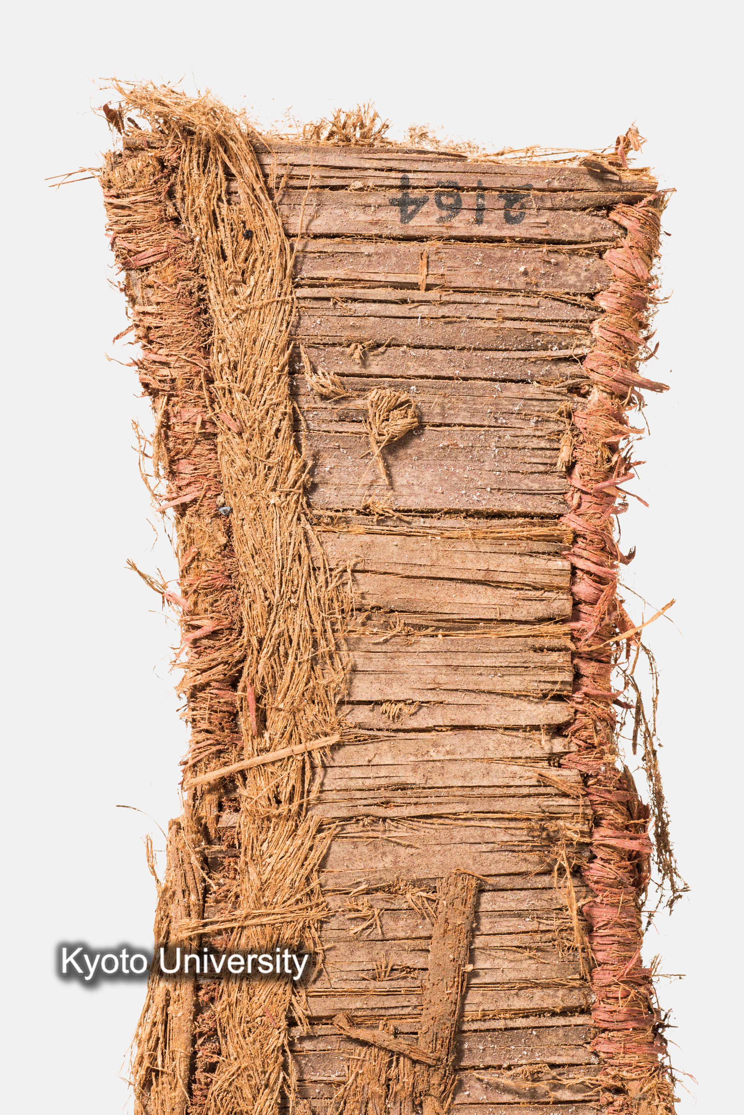 11-016_Oxyrhynchus032_p020 (1)