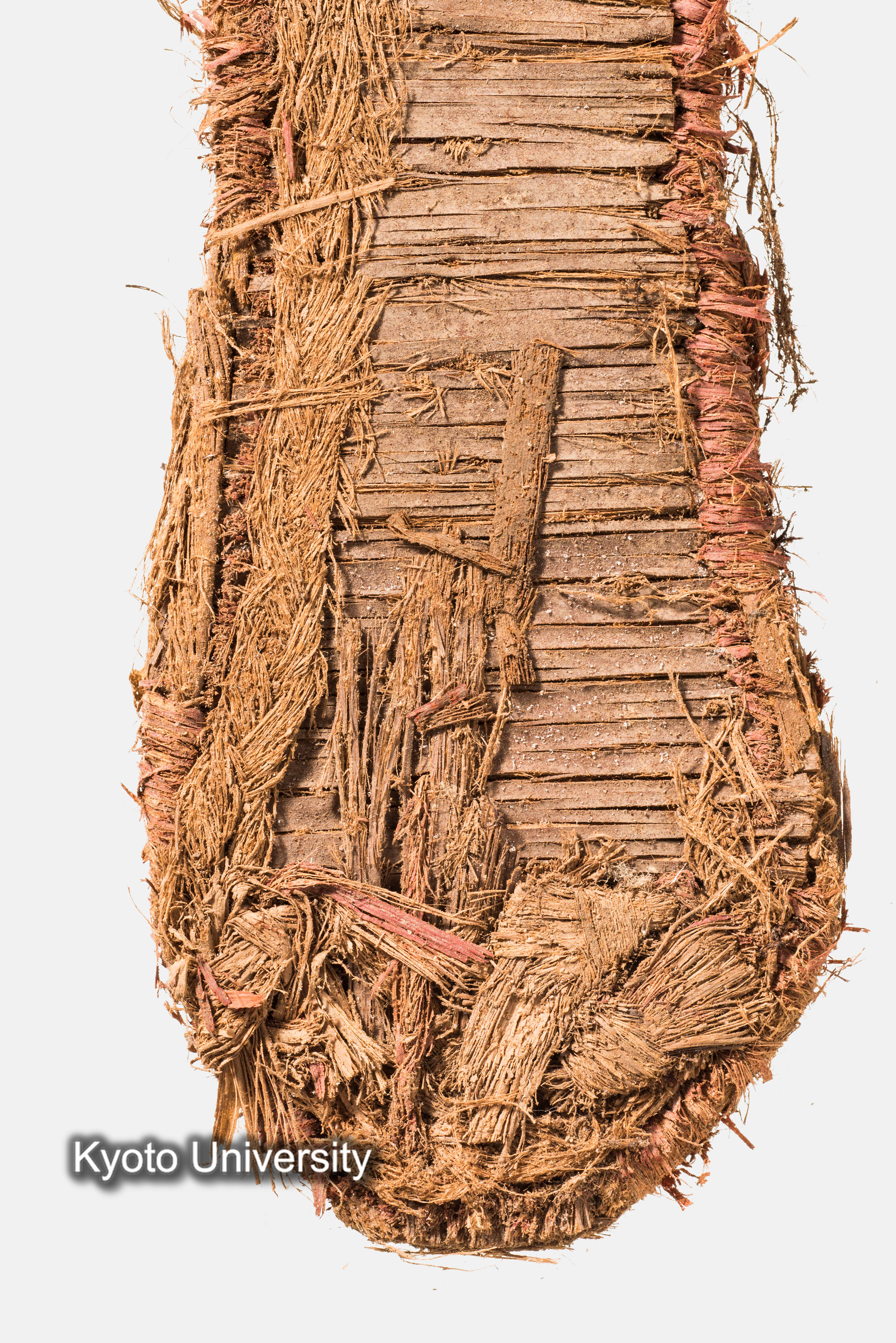 11-017_Oxyrhynchus032_p020 (1)