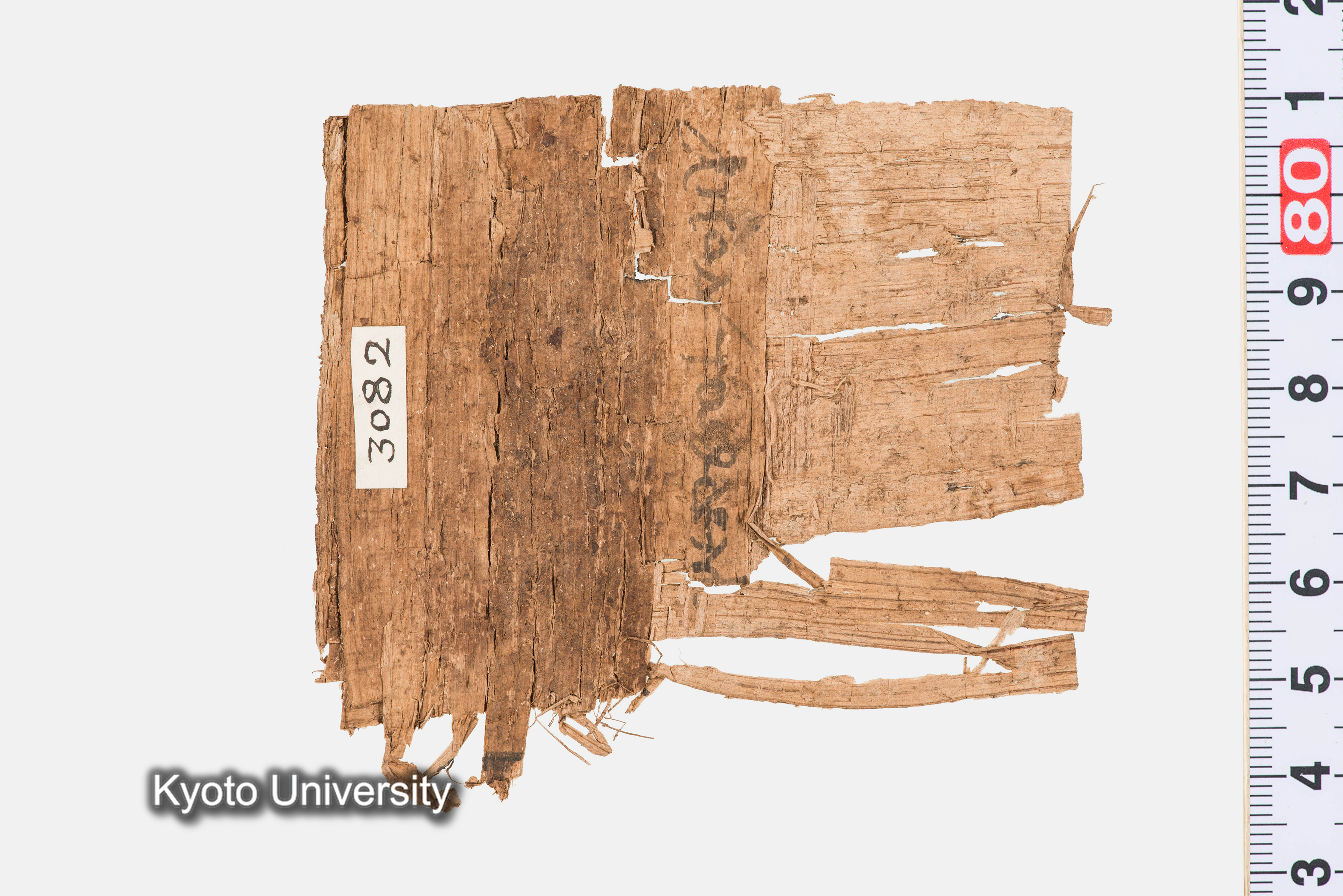 11-036_Papyri003_p151 (1)