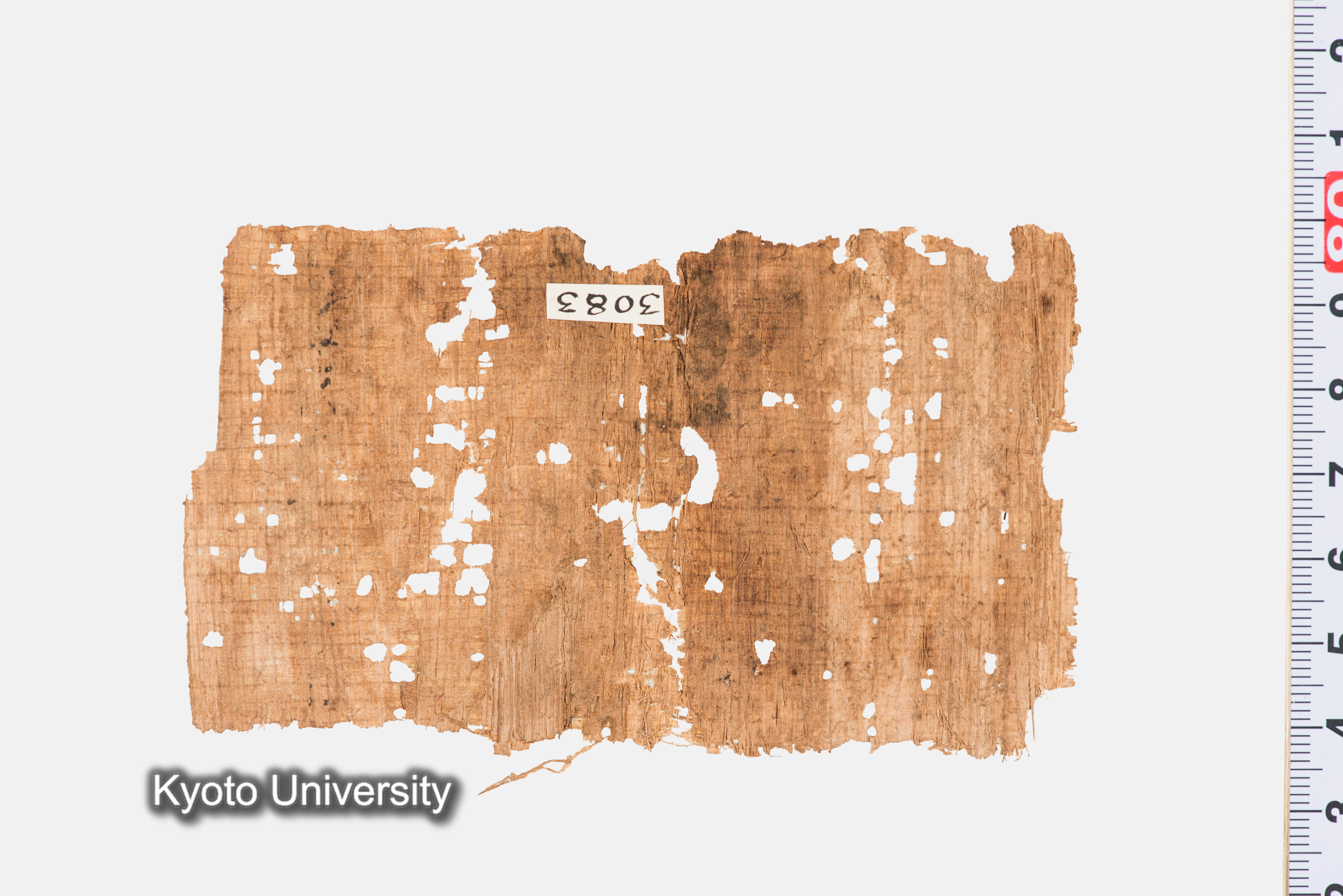 11-039_Papyri001_p150-151 (1)