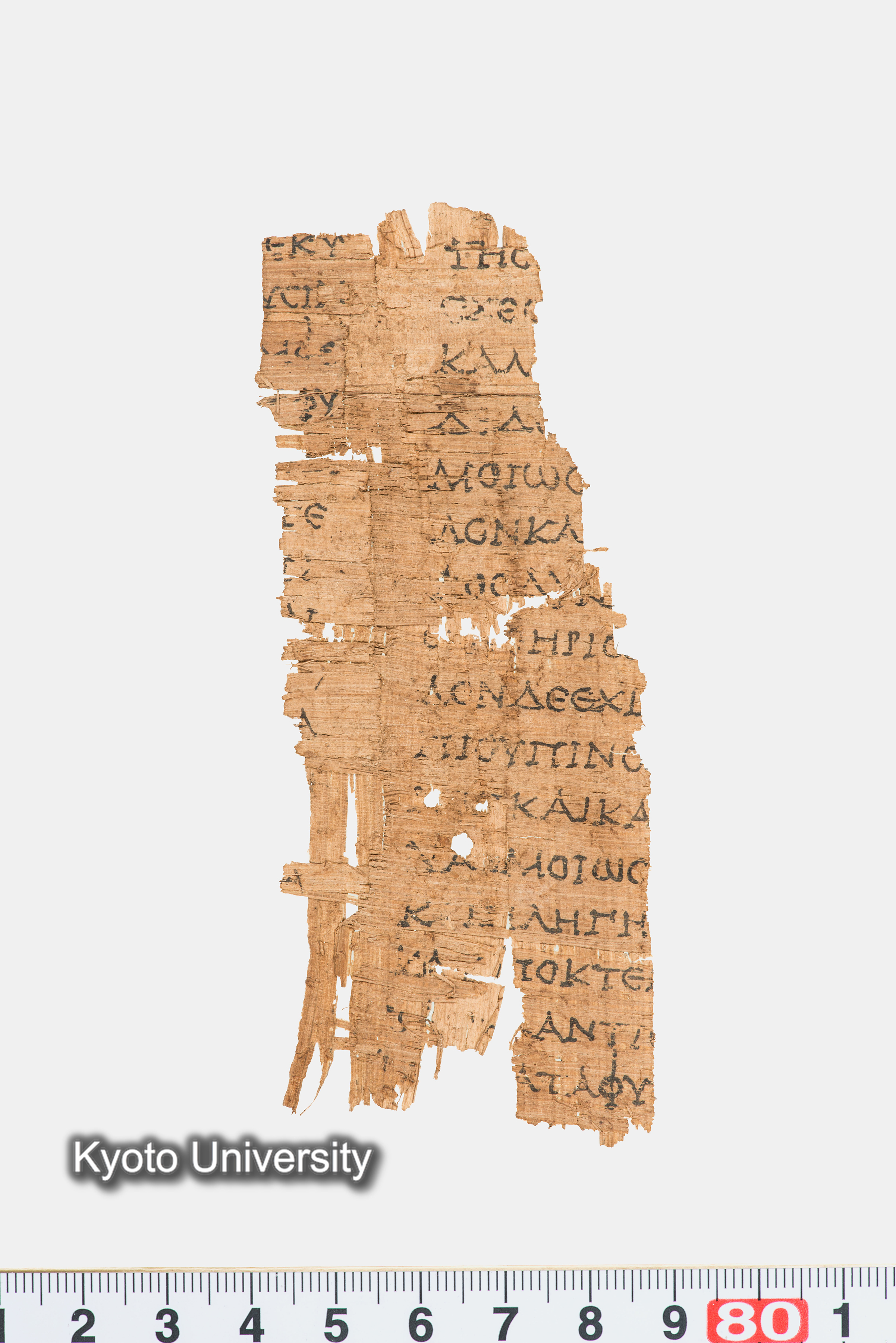 11-041_Papyri004_p151+153 (1)