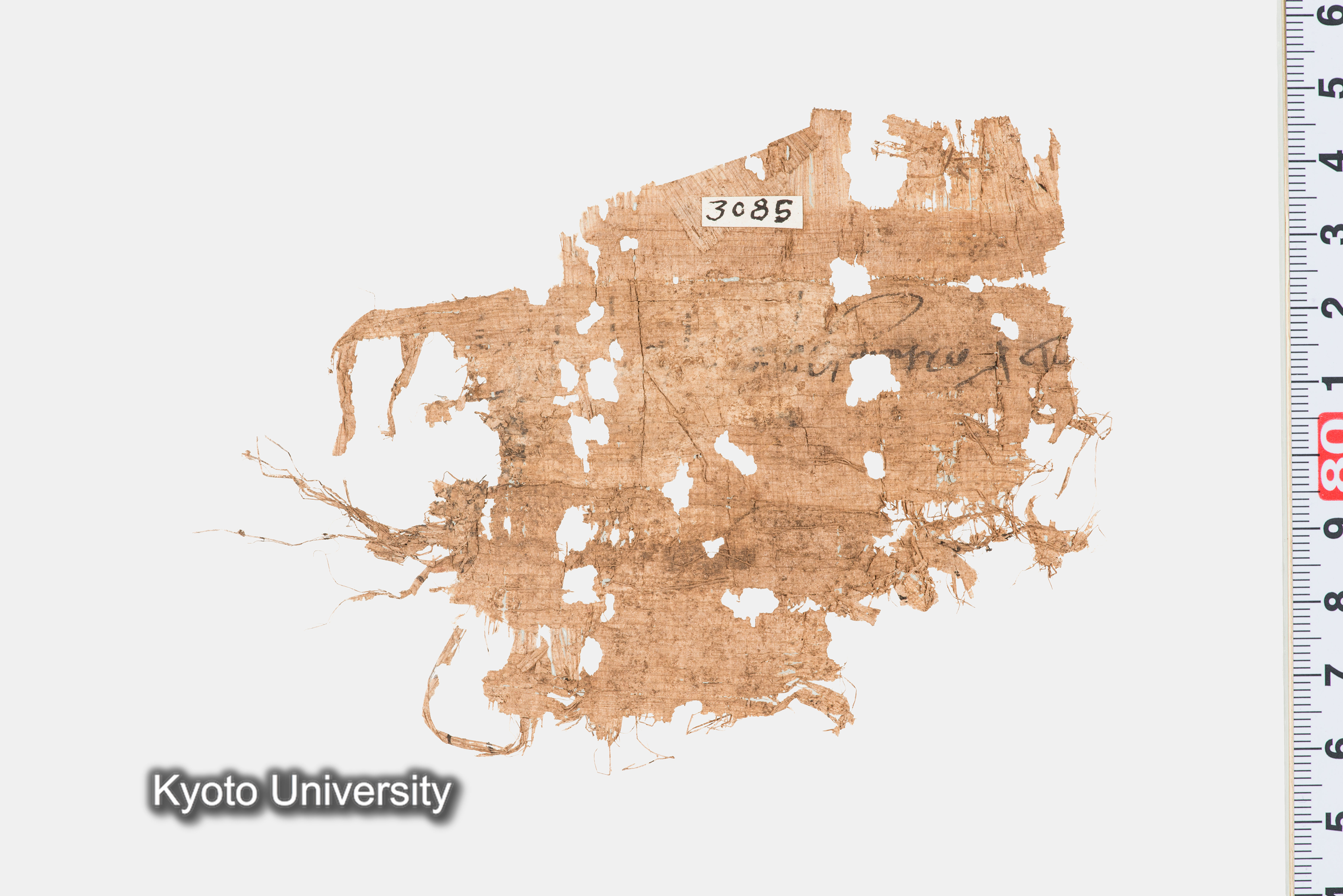 11-045_Papyri006_p153 (1)