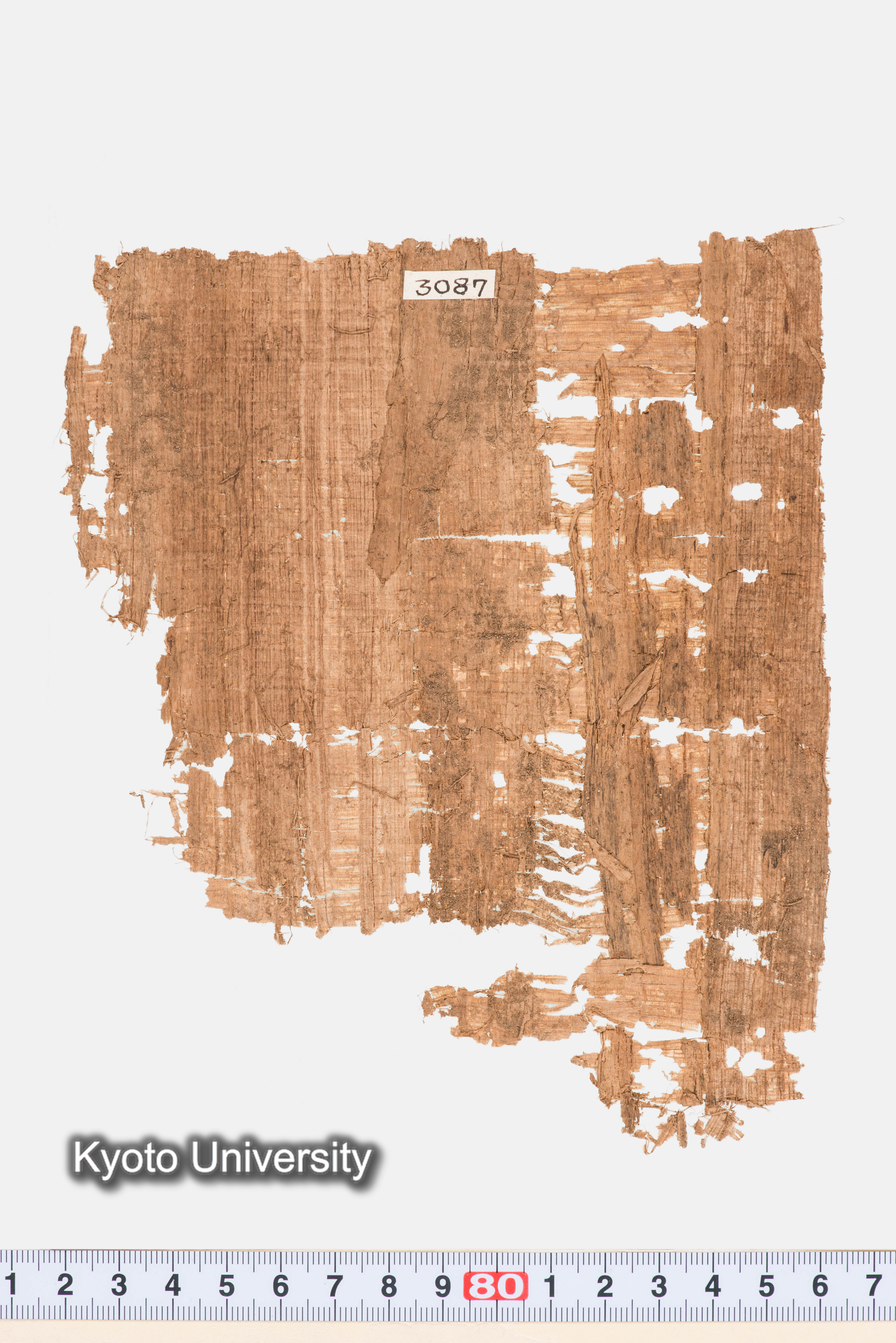 11-051_Papyri002_p150-151 (1)