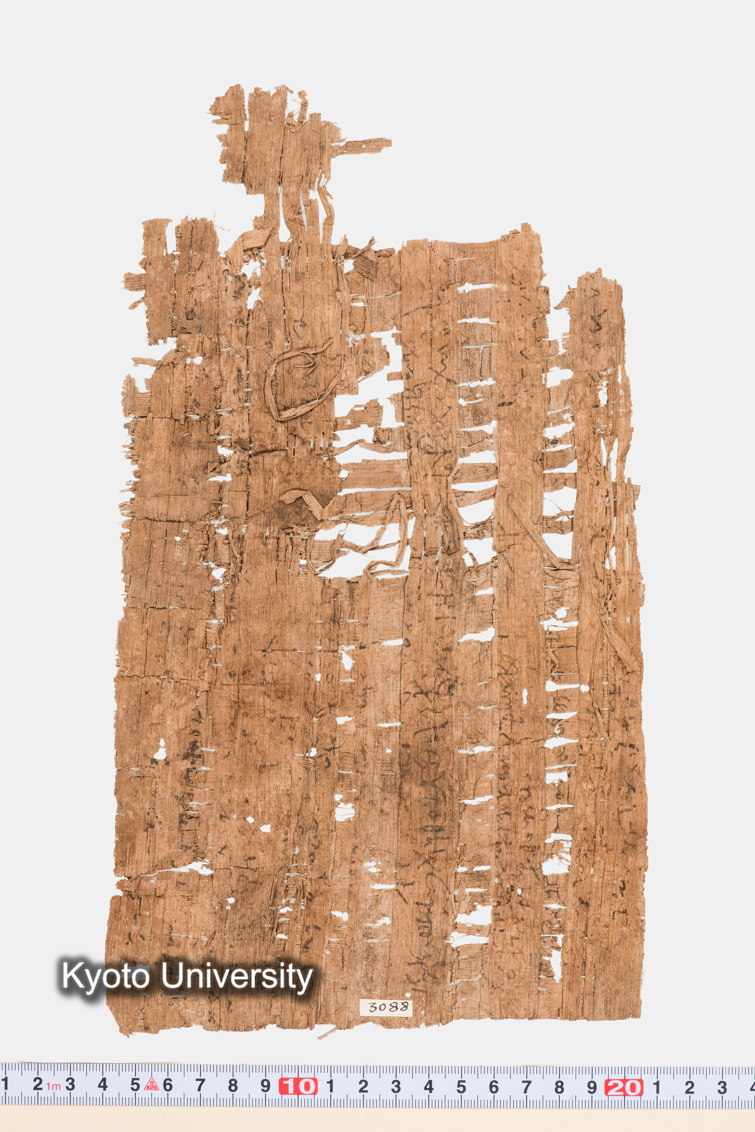 11-054_Papyri007_p153 (1)