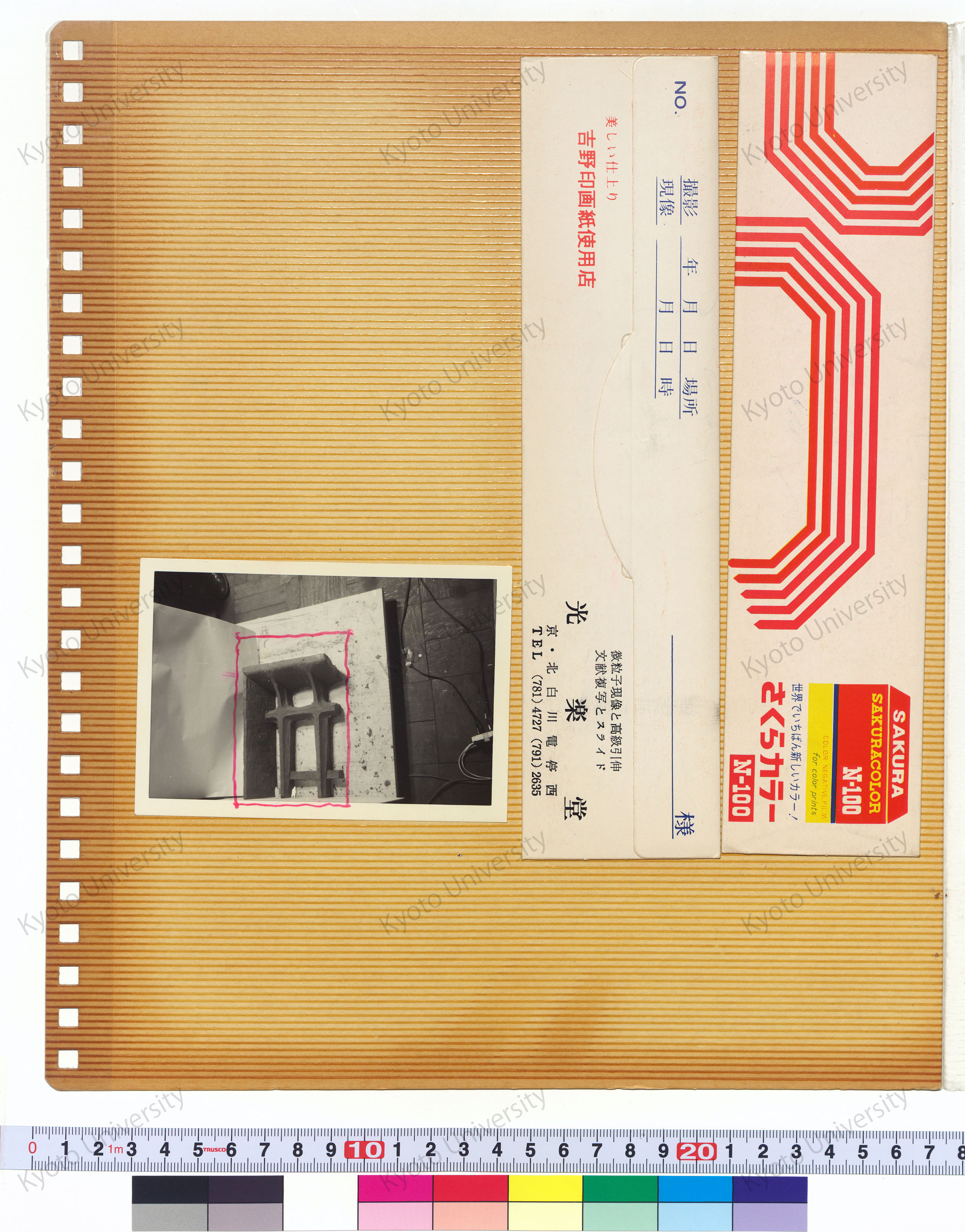 ［京都大学記念体育館計画案］ (6)