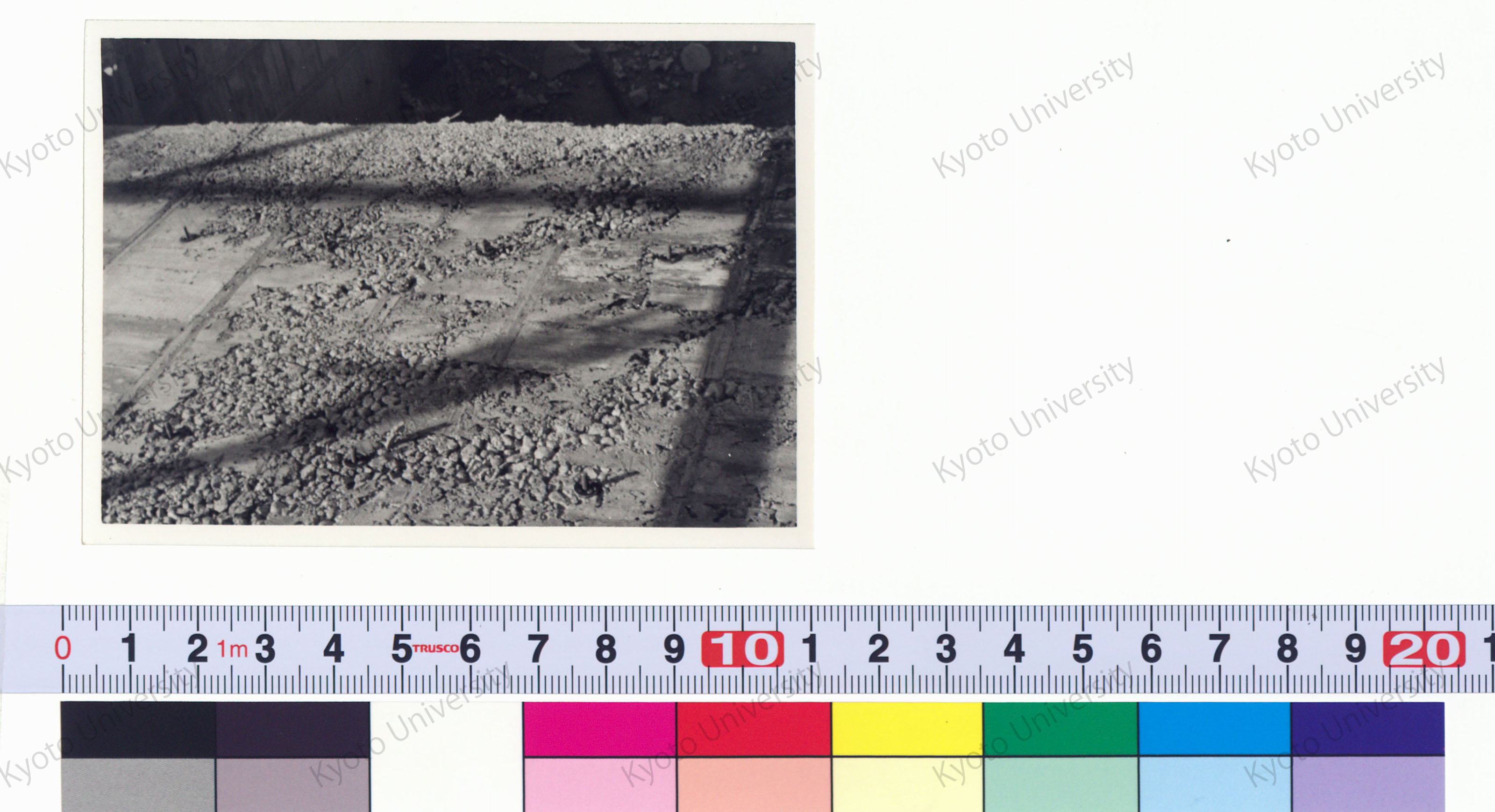 ［京都大学総合体育館］ (8)
