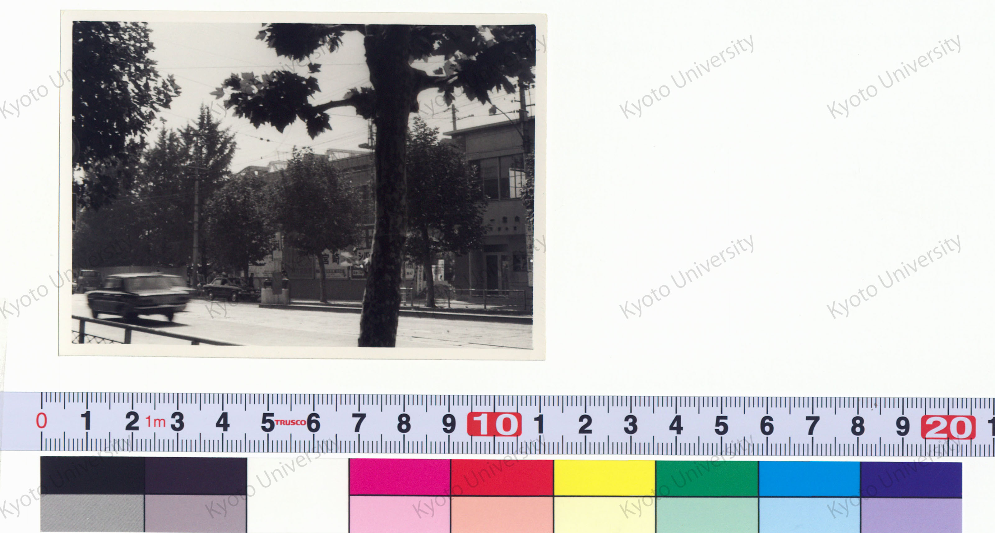 ［京都大学総合体育館］ (52)