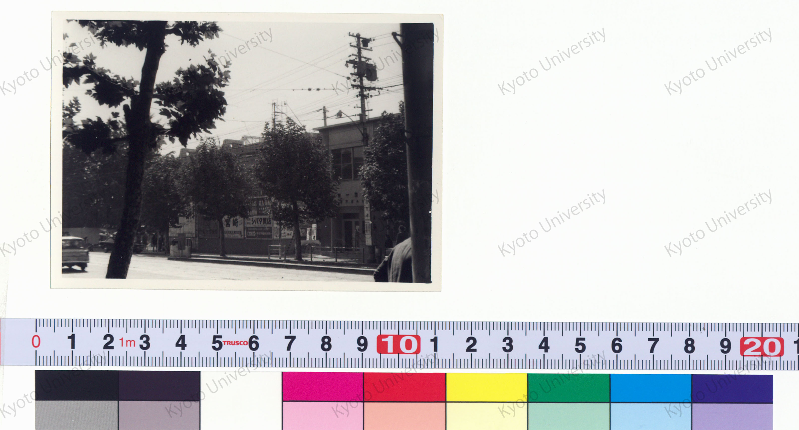 ［京都大学総合体育館］ (53)