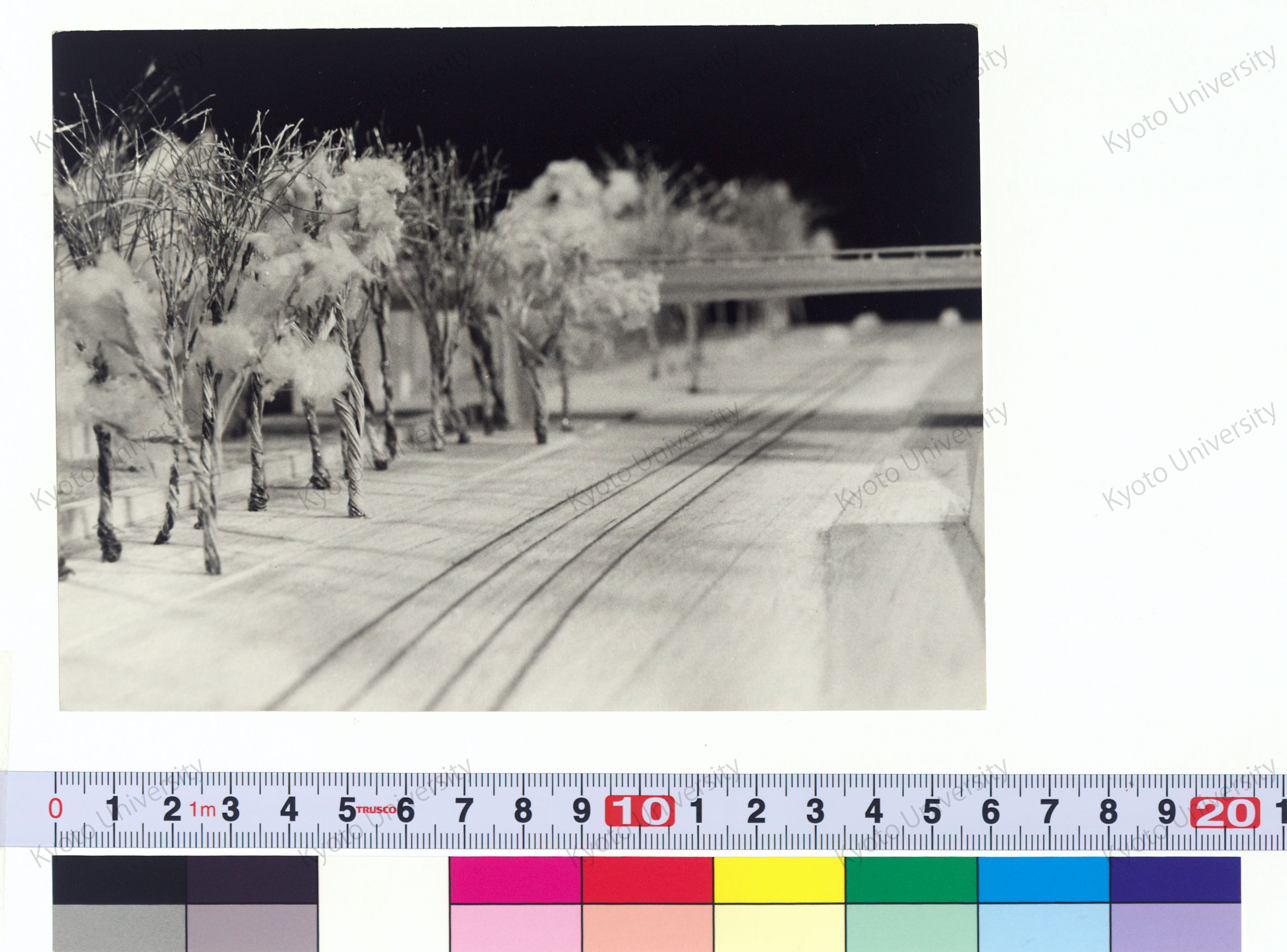 MECK関係；写真；原図；Catalogue etc. (2)