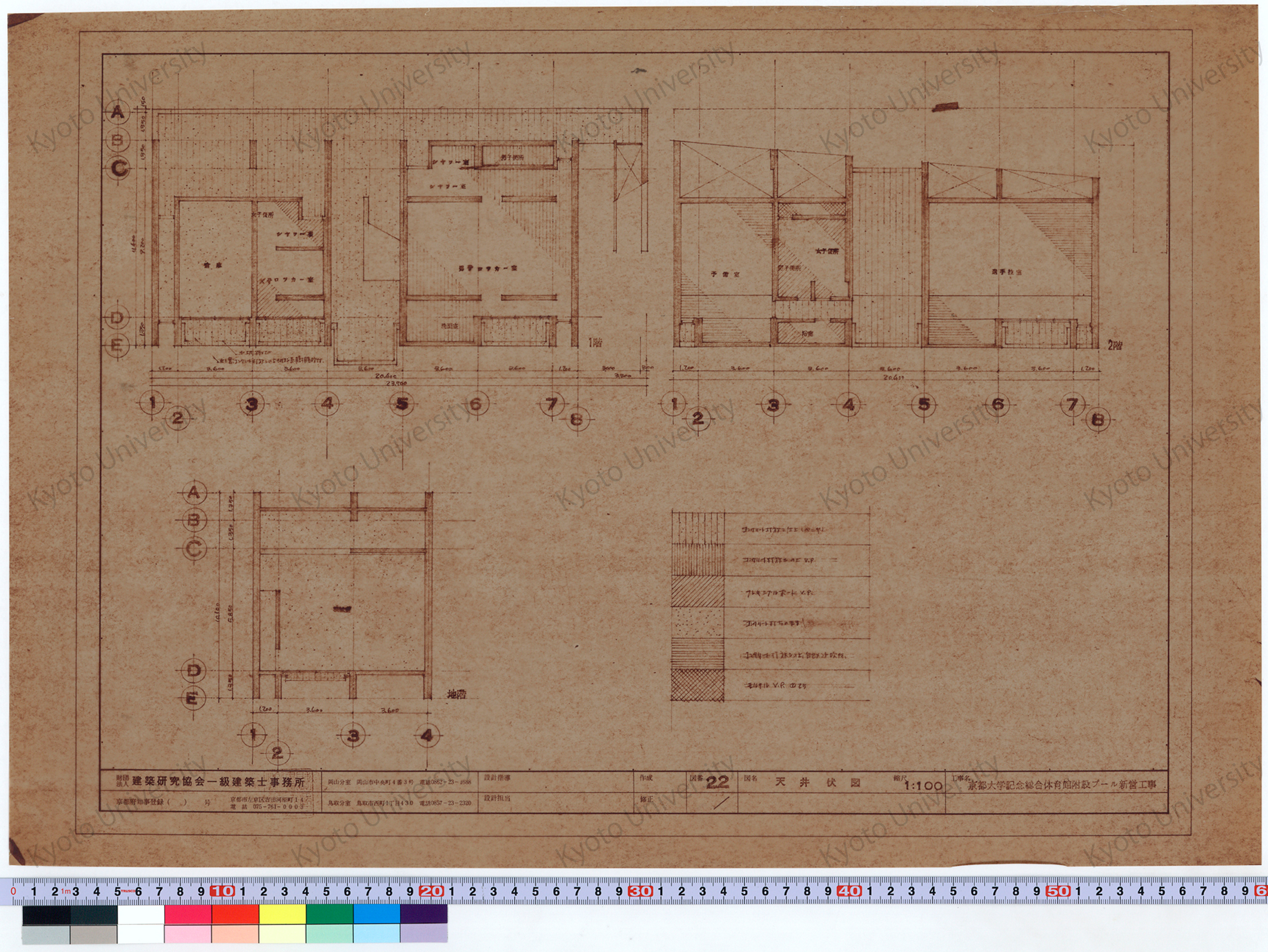 京都大学記念総合体育館附設プール新営工事_天井伏図_1:100_22_増田（設計指導）, 前田 (1)