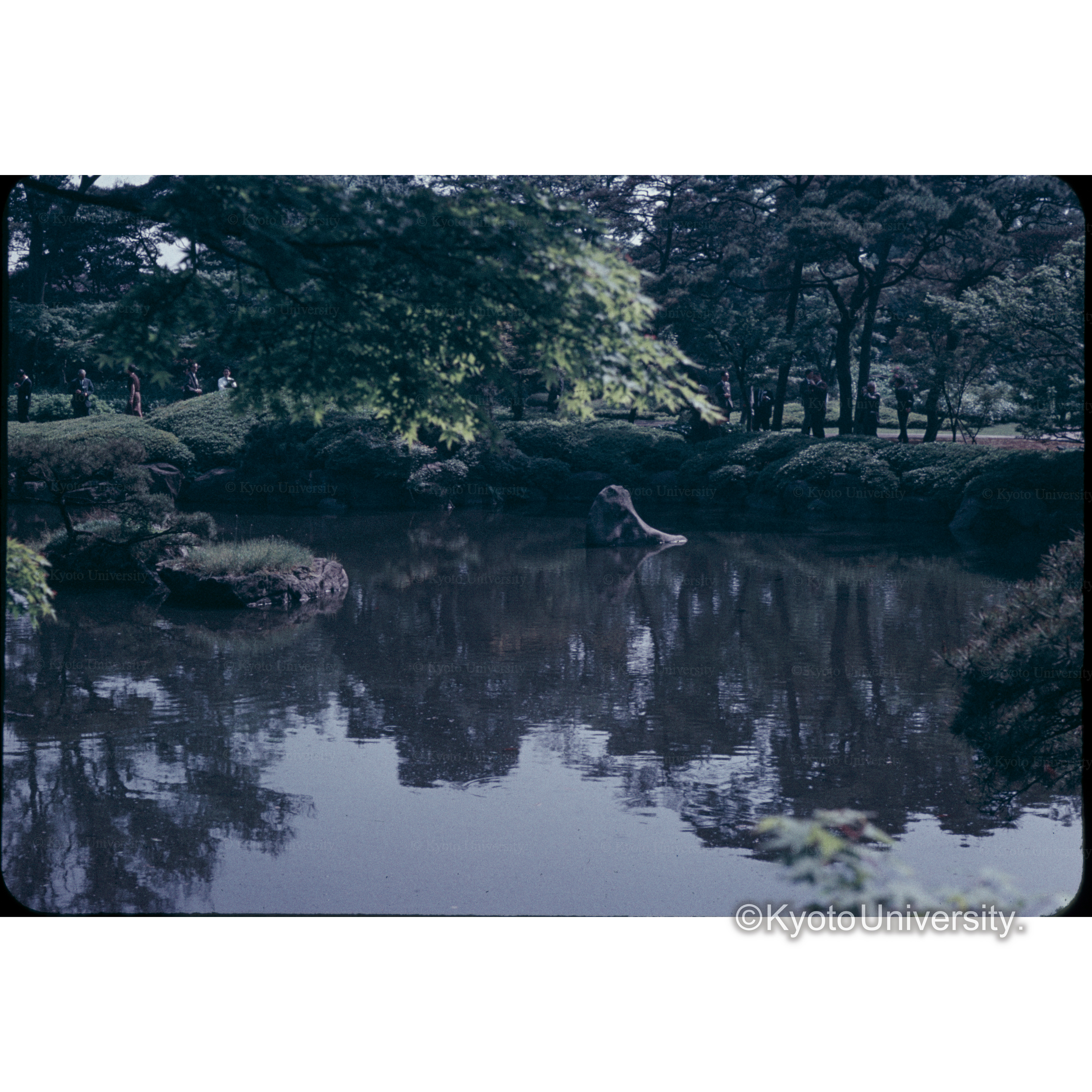 三井クラブの庭 (1)