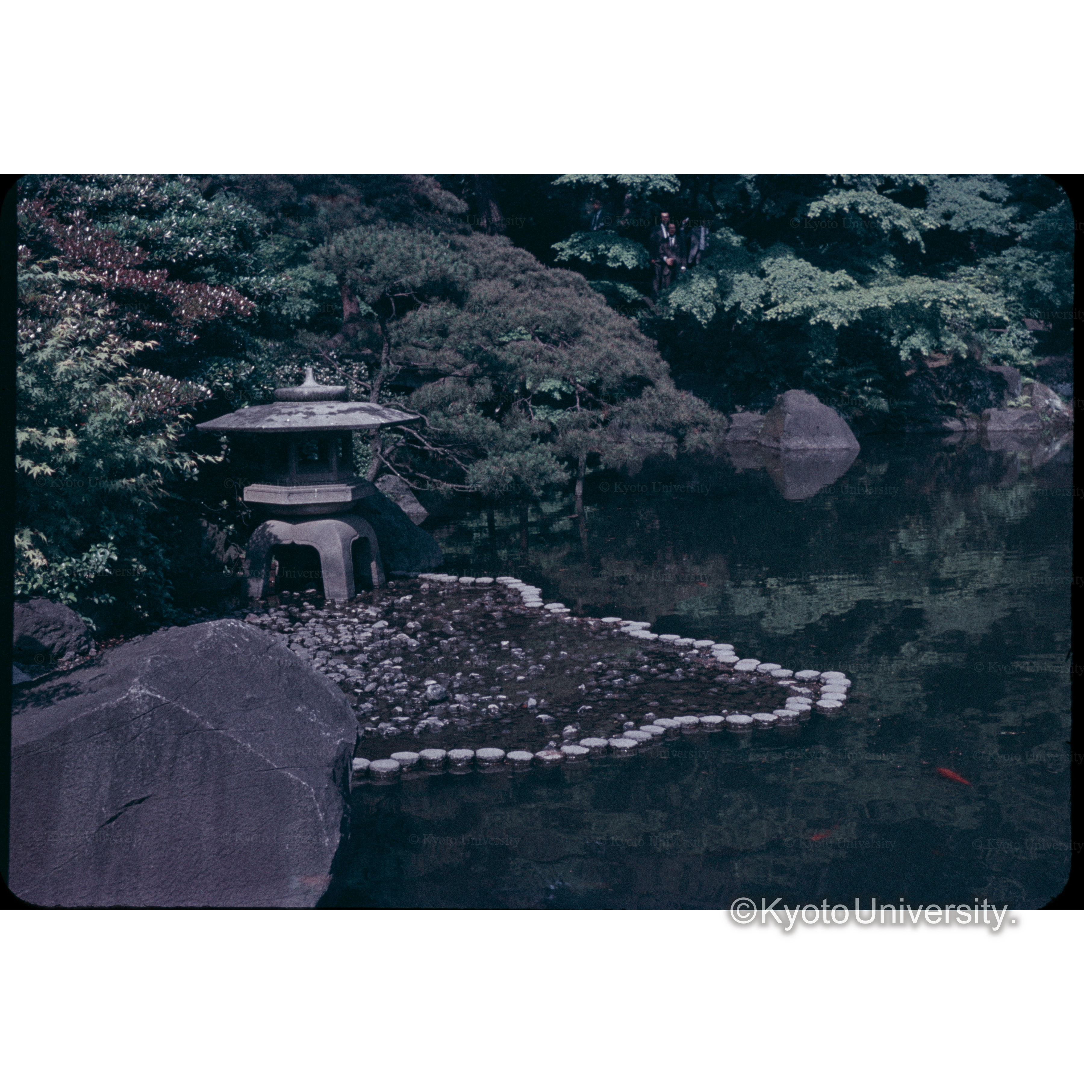 三井クラブの庭 (1)