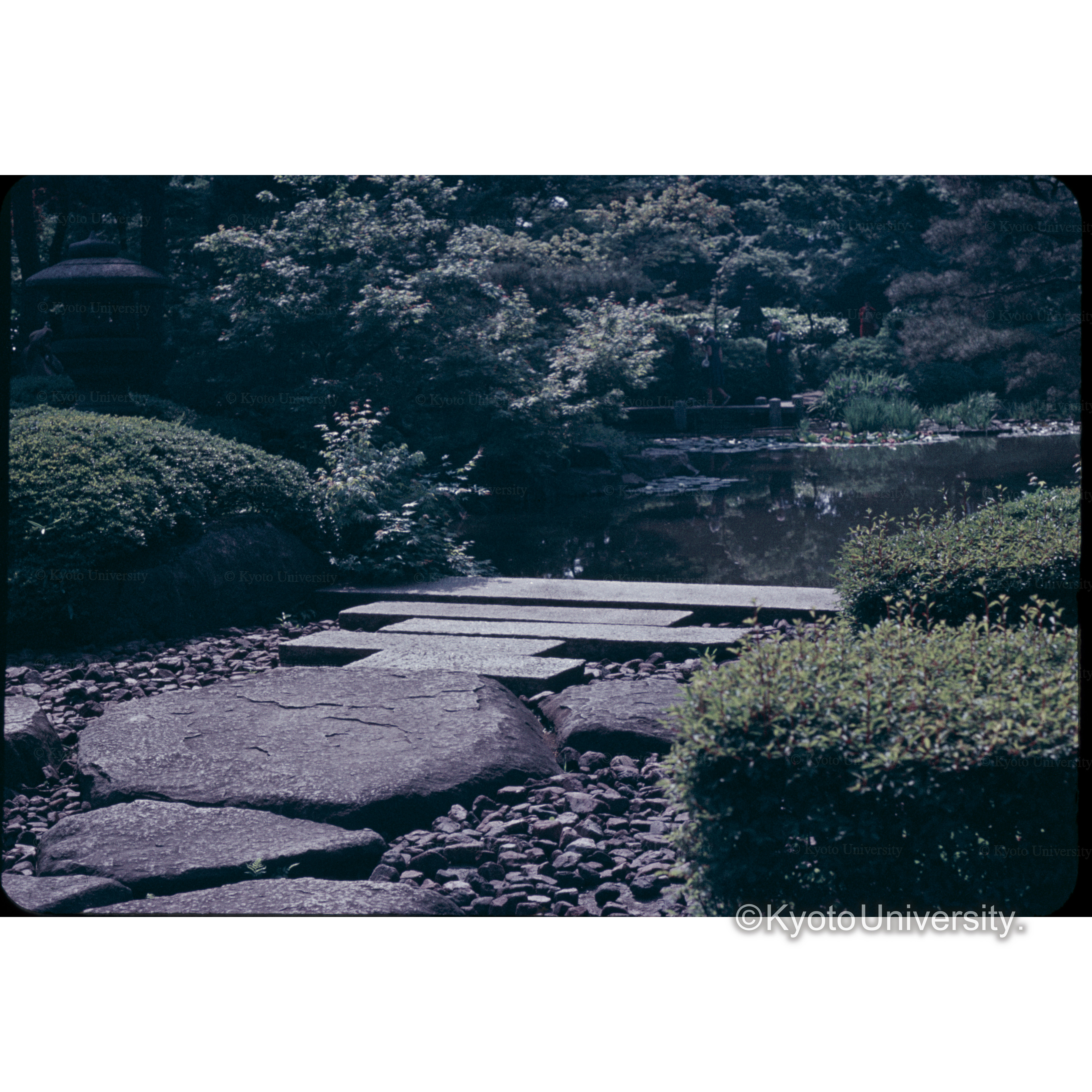 三井クラブの庭 (1)