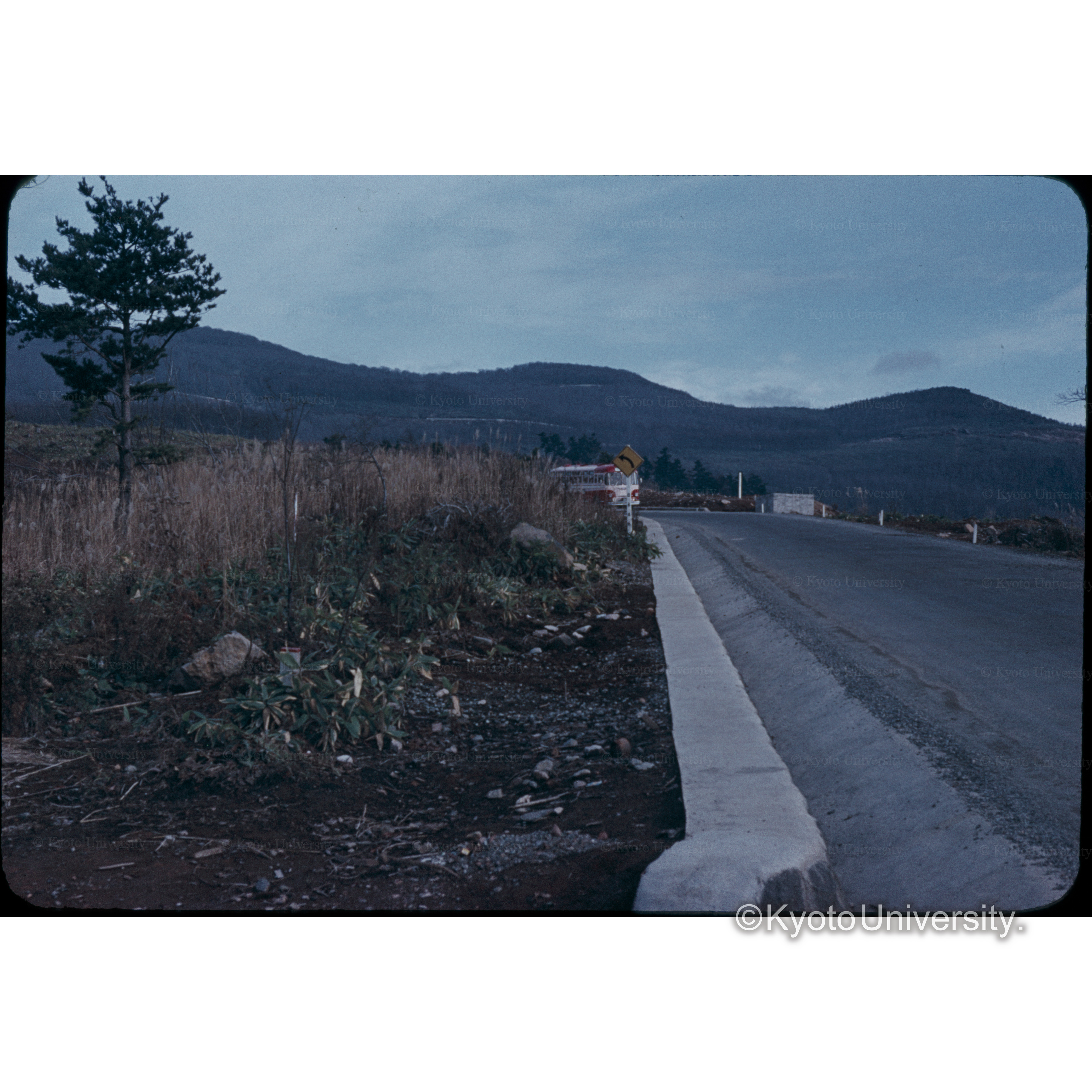 〔山への道〕 (1)