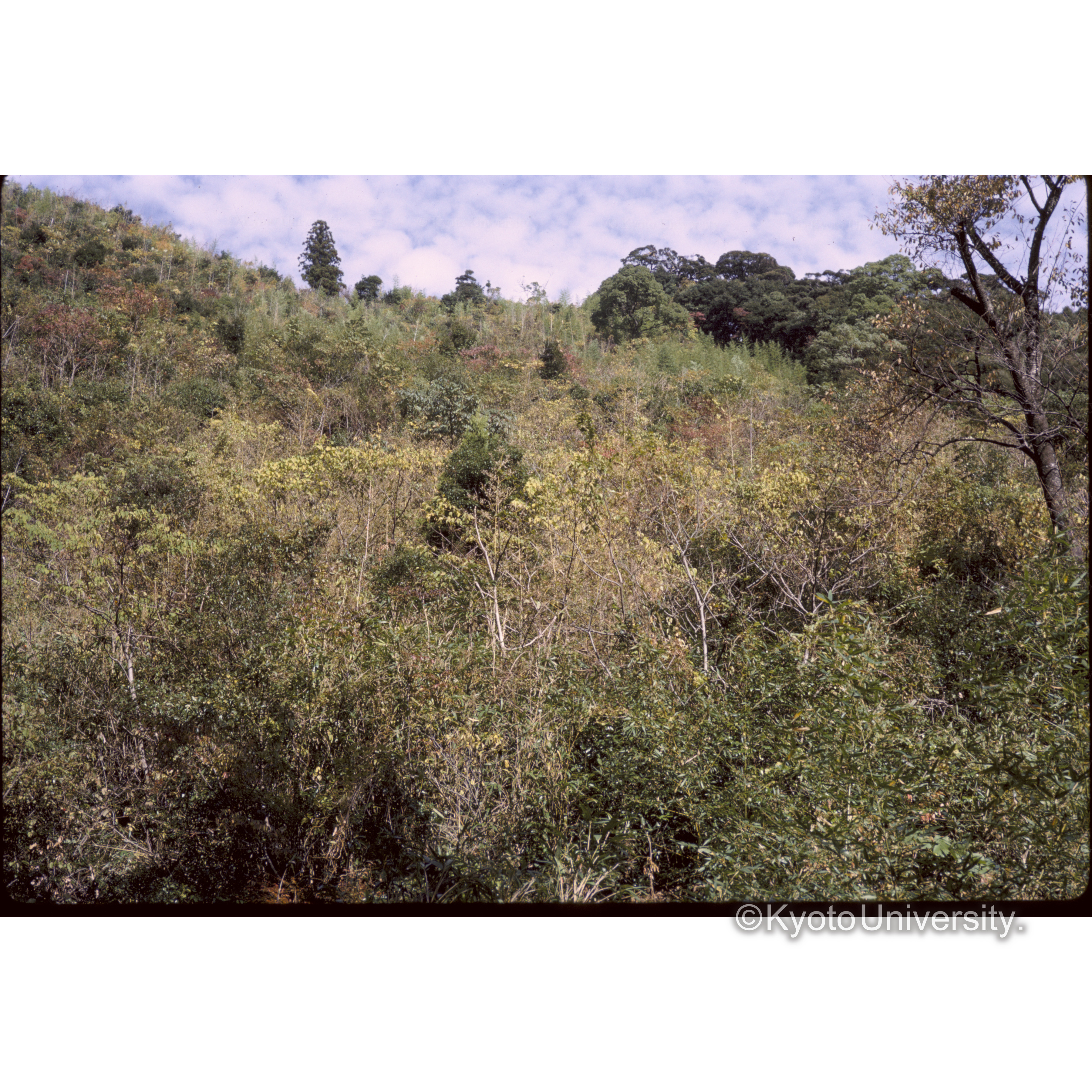 千守城址より小城町 天山地方をみる (1)