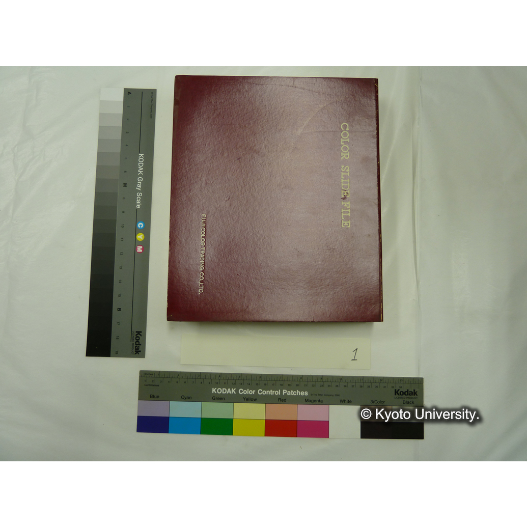 [スライドファイル] 植物（花卉,　樹木） (1)