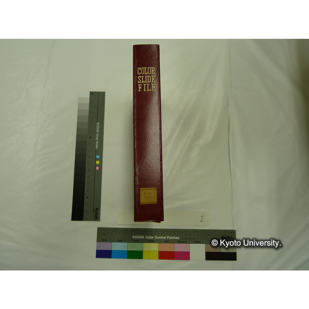 [スライドファイル] 植物（花卉,　樹木） (2)