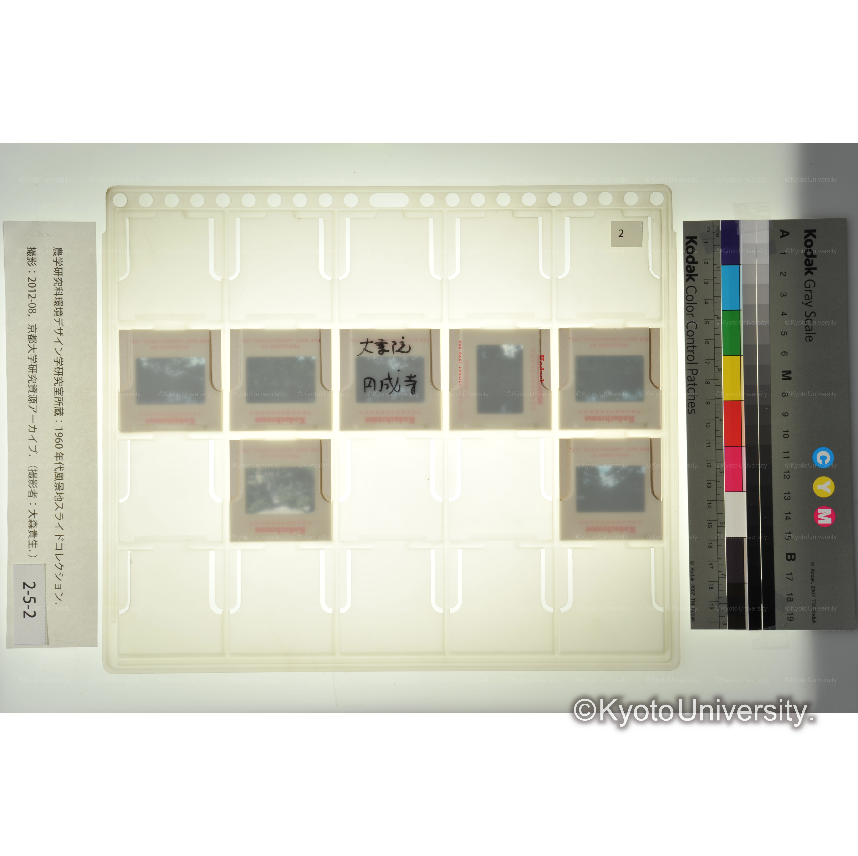 大乗院・円成寺 (2)