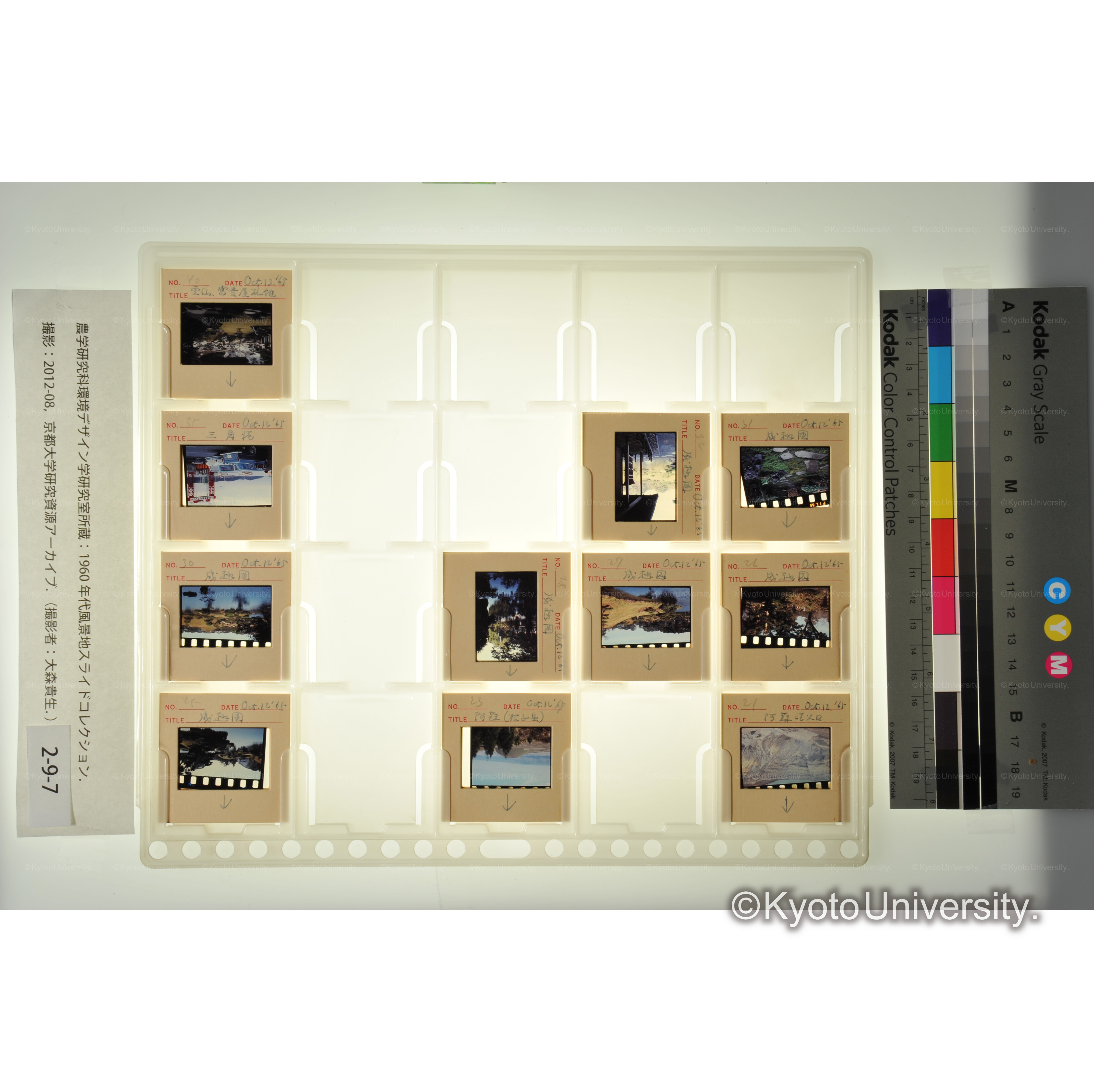 〔阿蘇、成趣園〕 (1)