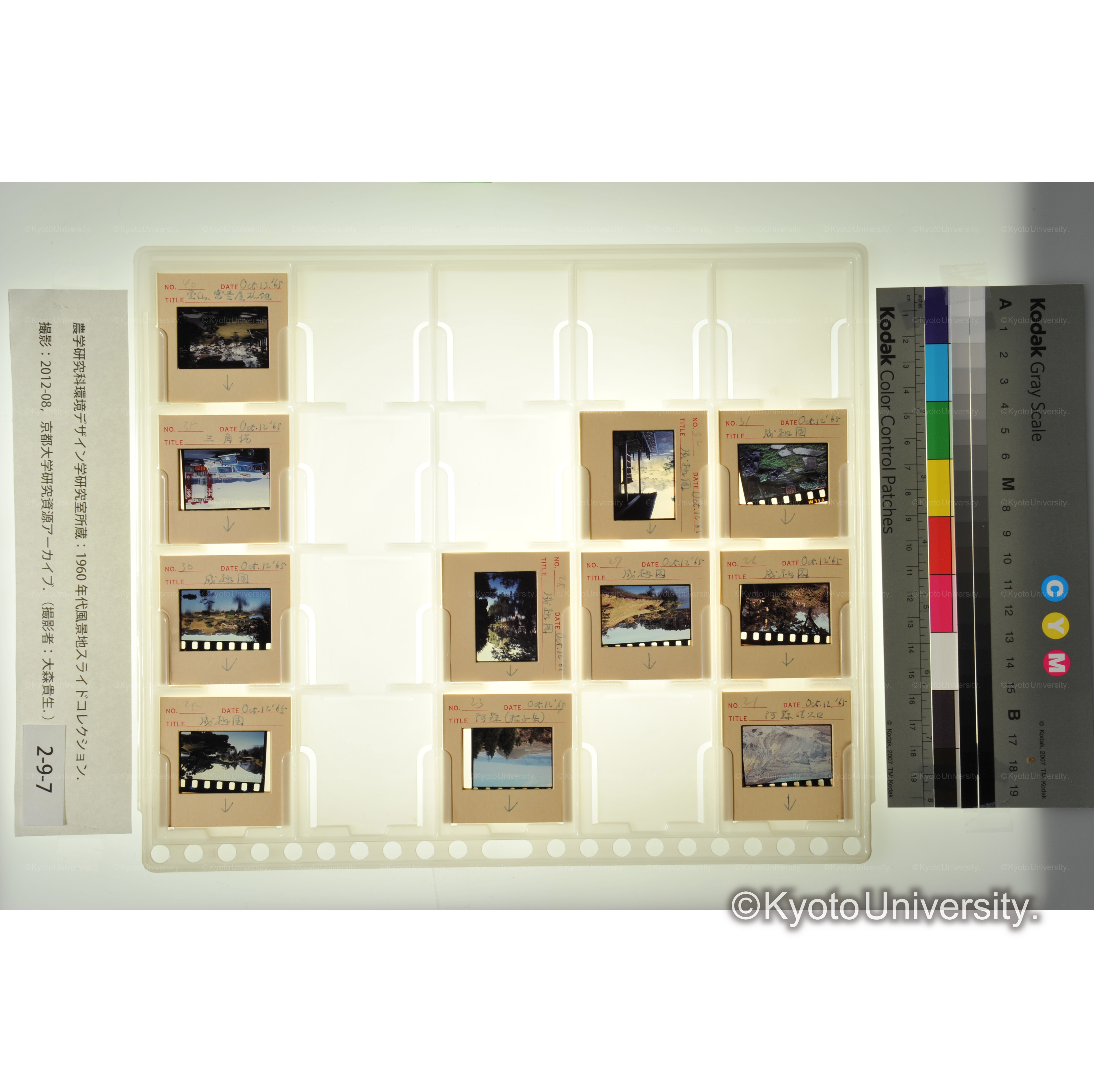 〔阿蘇、成趣園〕 (2)