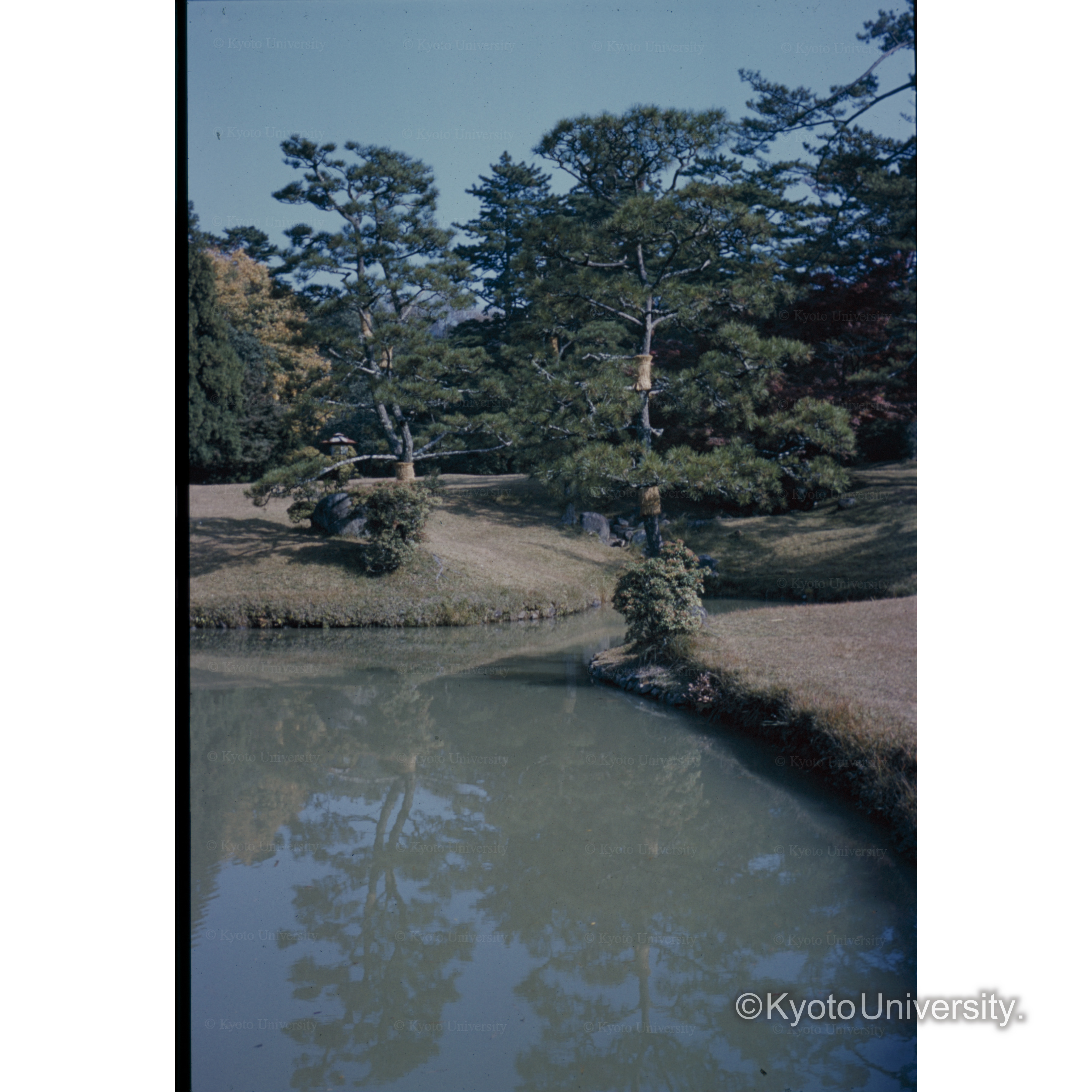 〔庭園の池〕 (1)