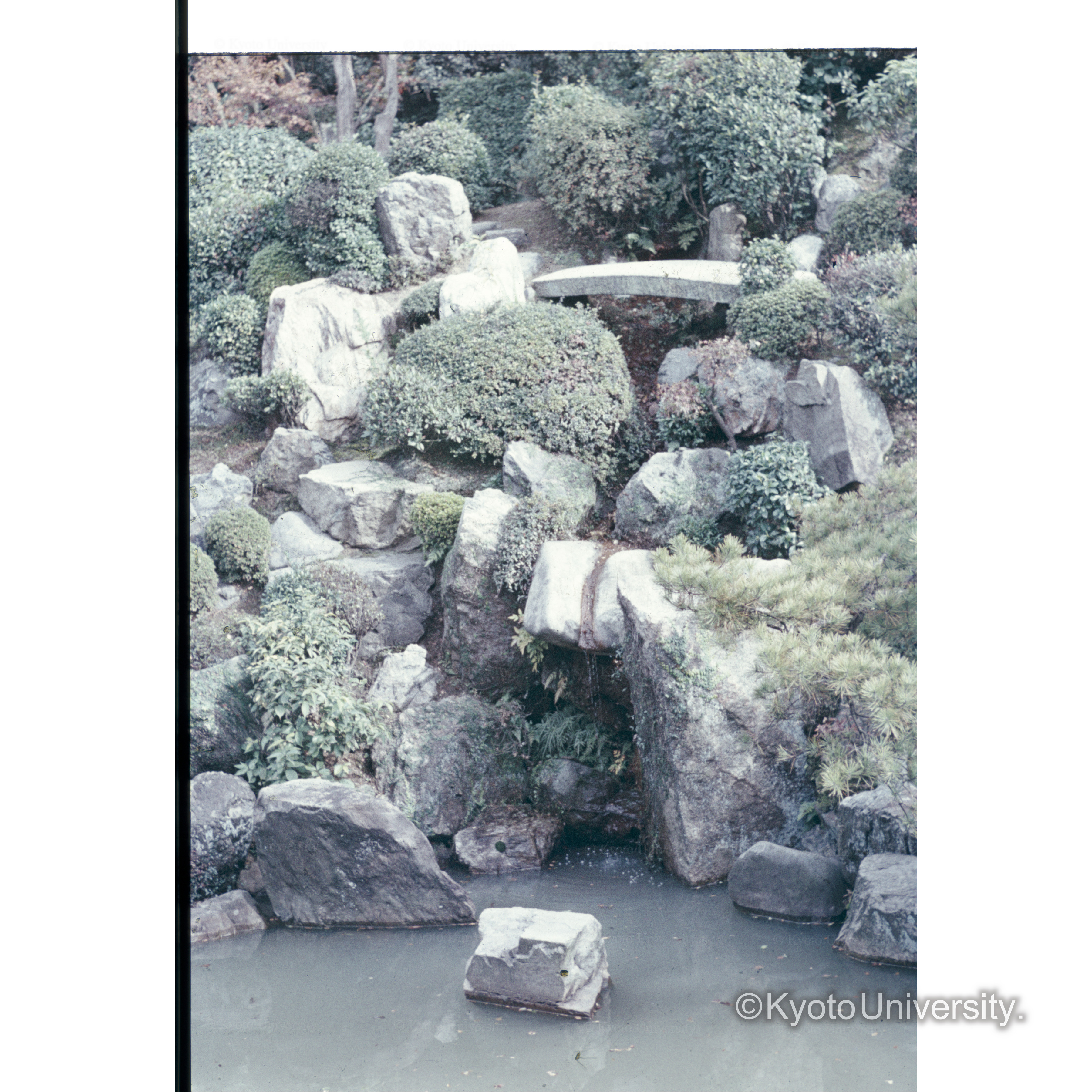 〔庭園の池〕 (1)