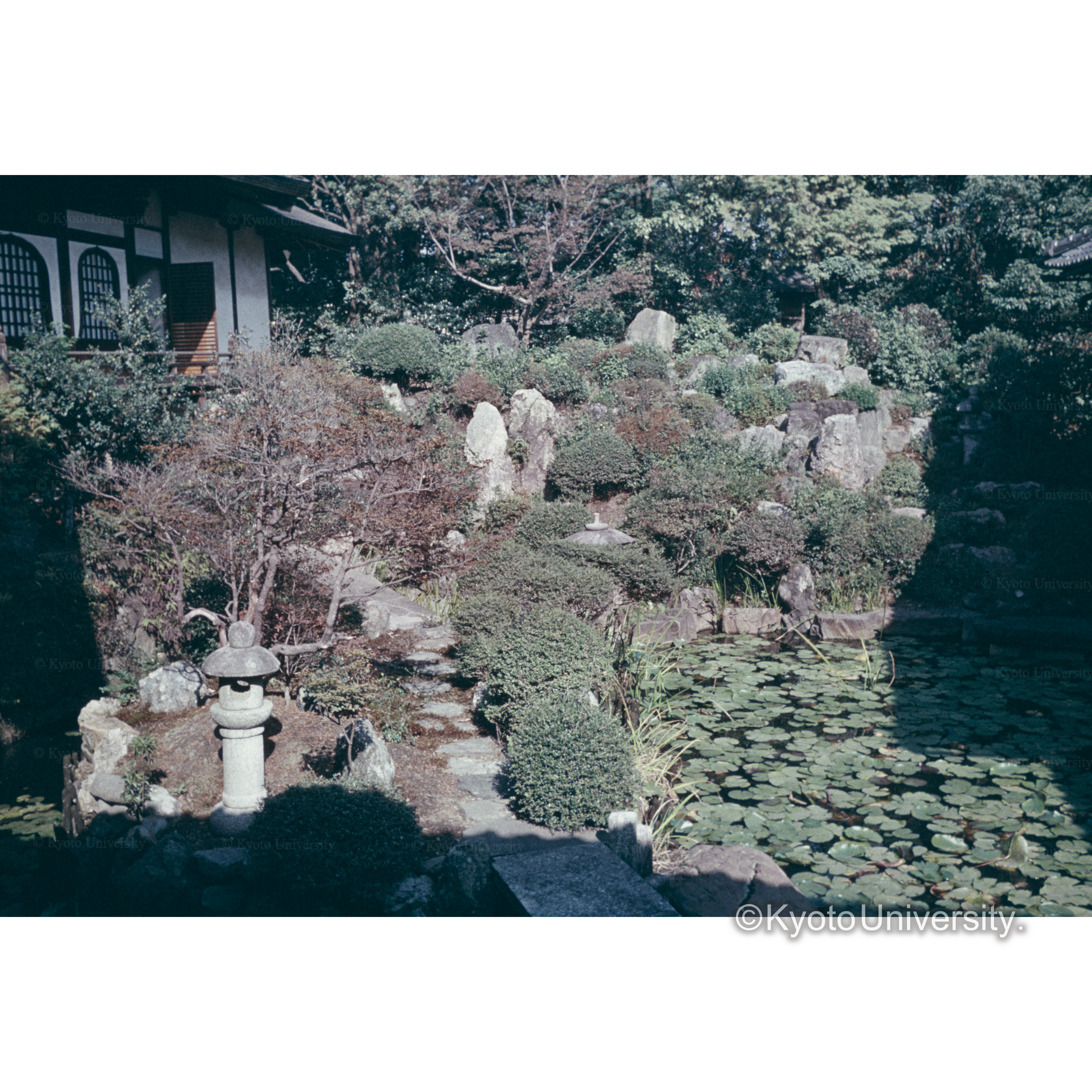 芳春院 (1)