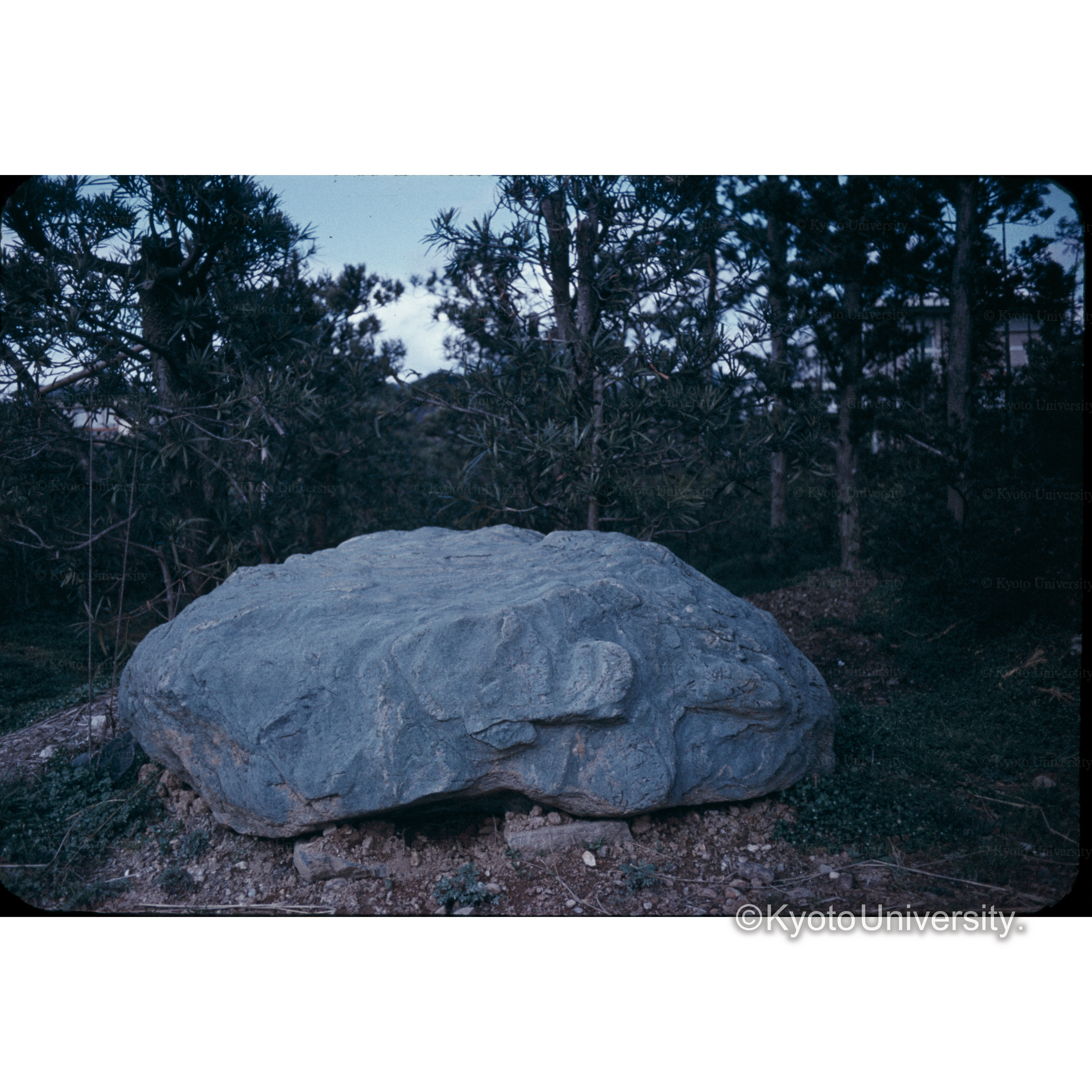 〔大きな岩〕 (1)