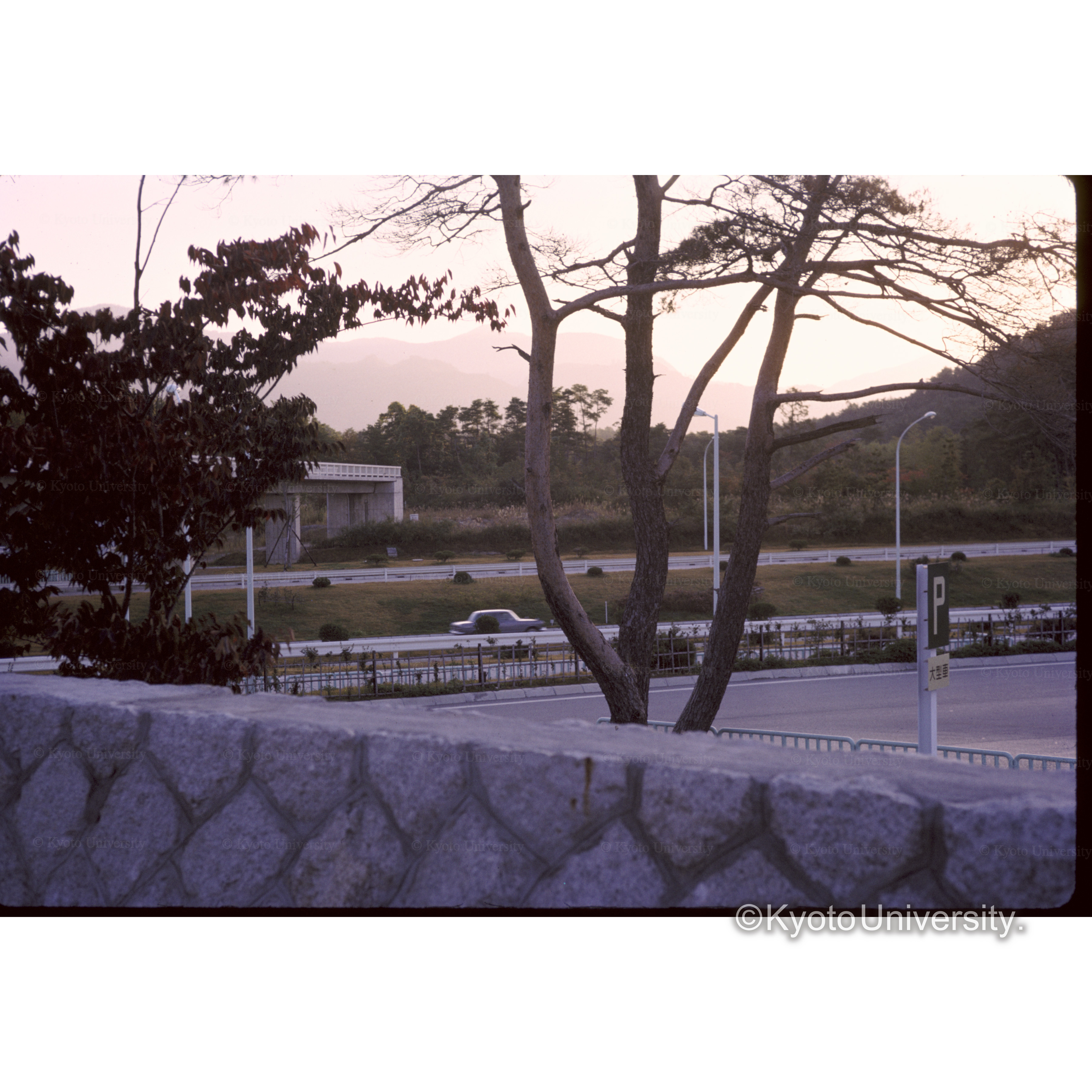 多賀インター (1)