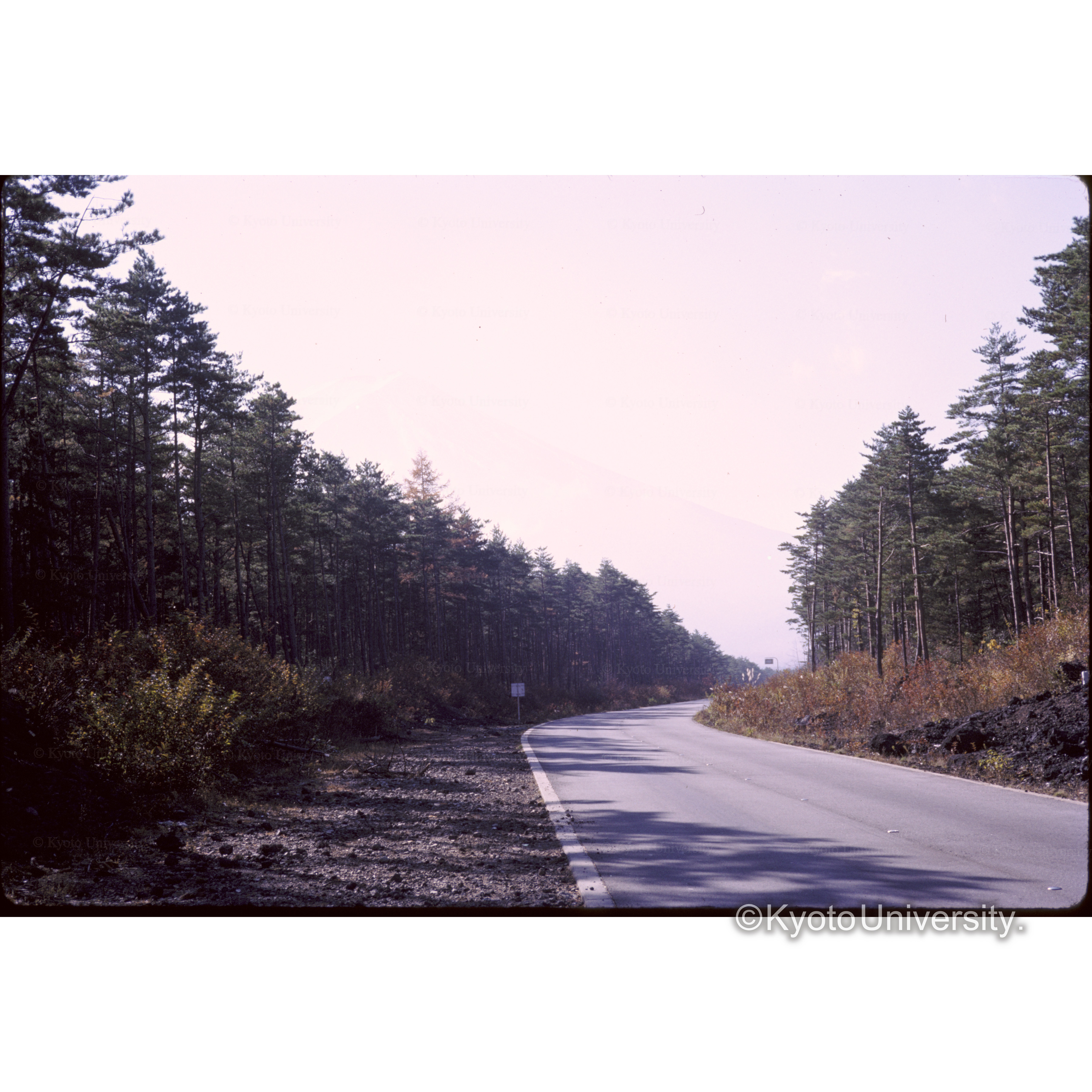 スバルライン (1)