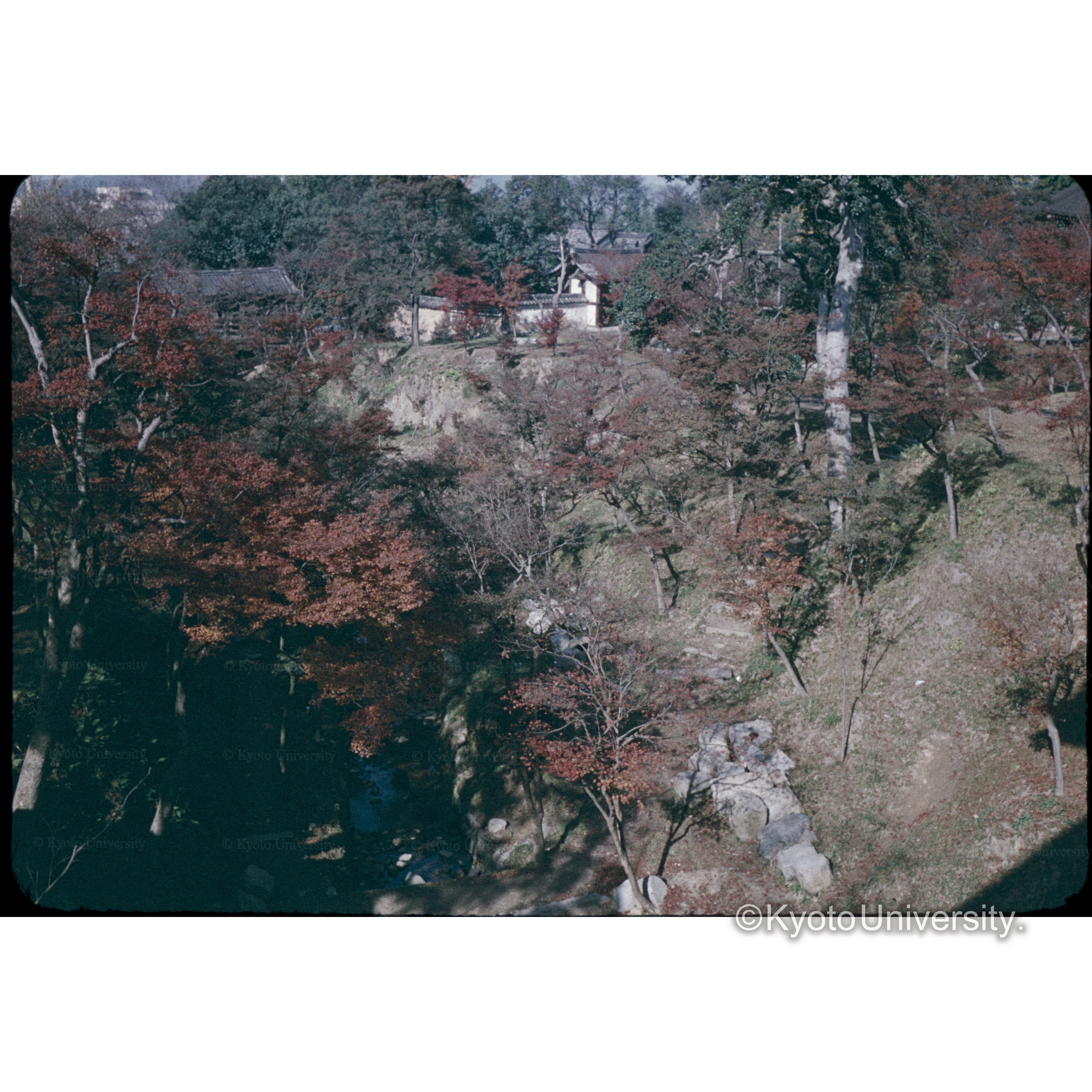 東福寺通天橋より (1)