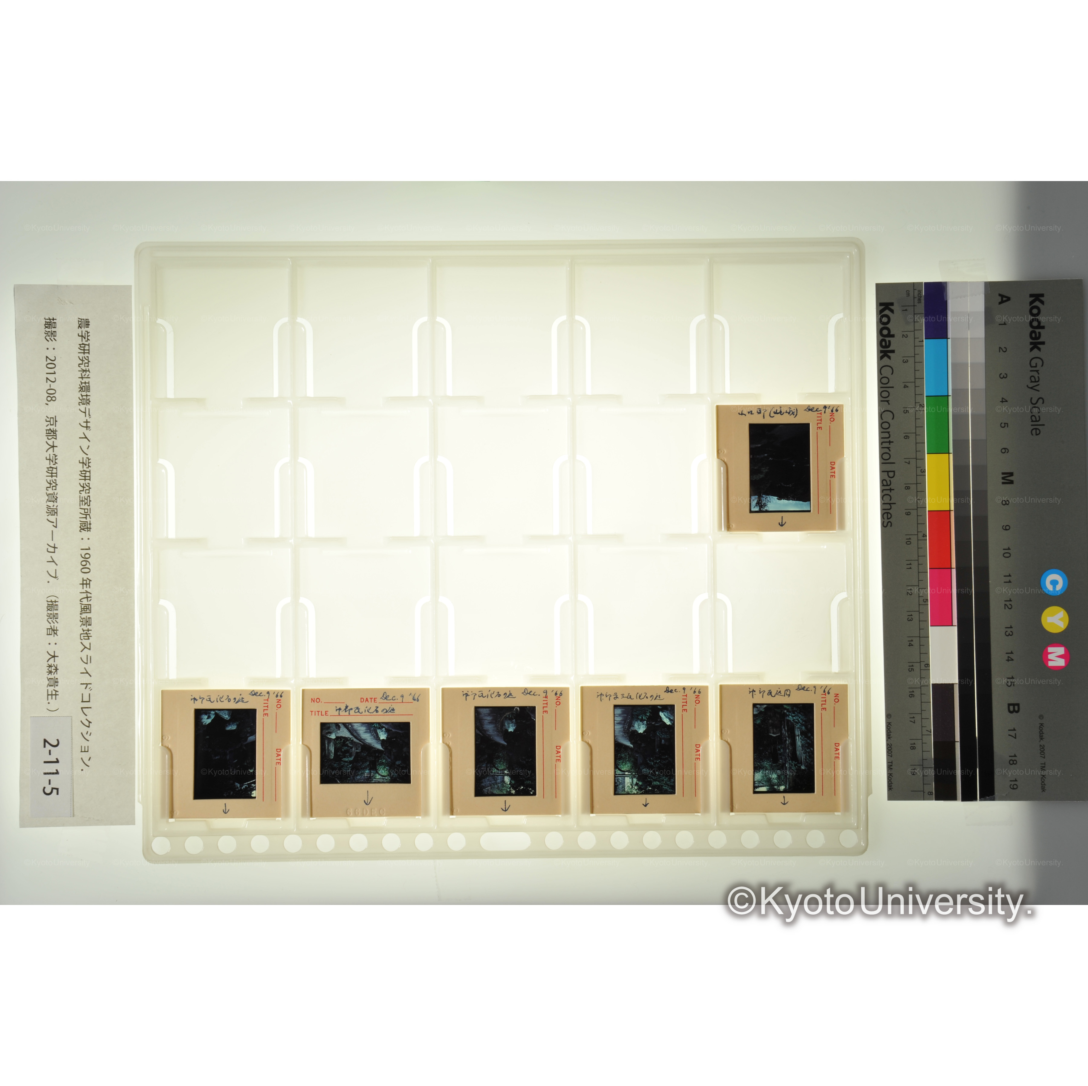 〔化石の庭〕 (1)