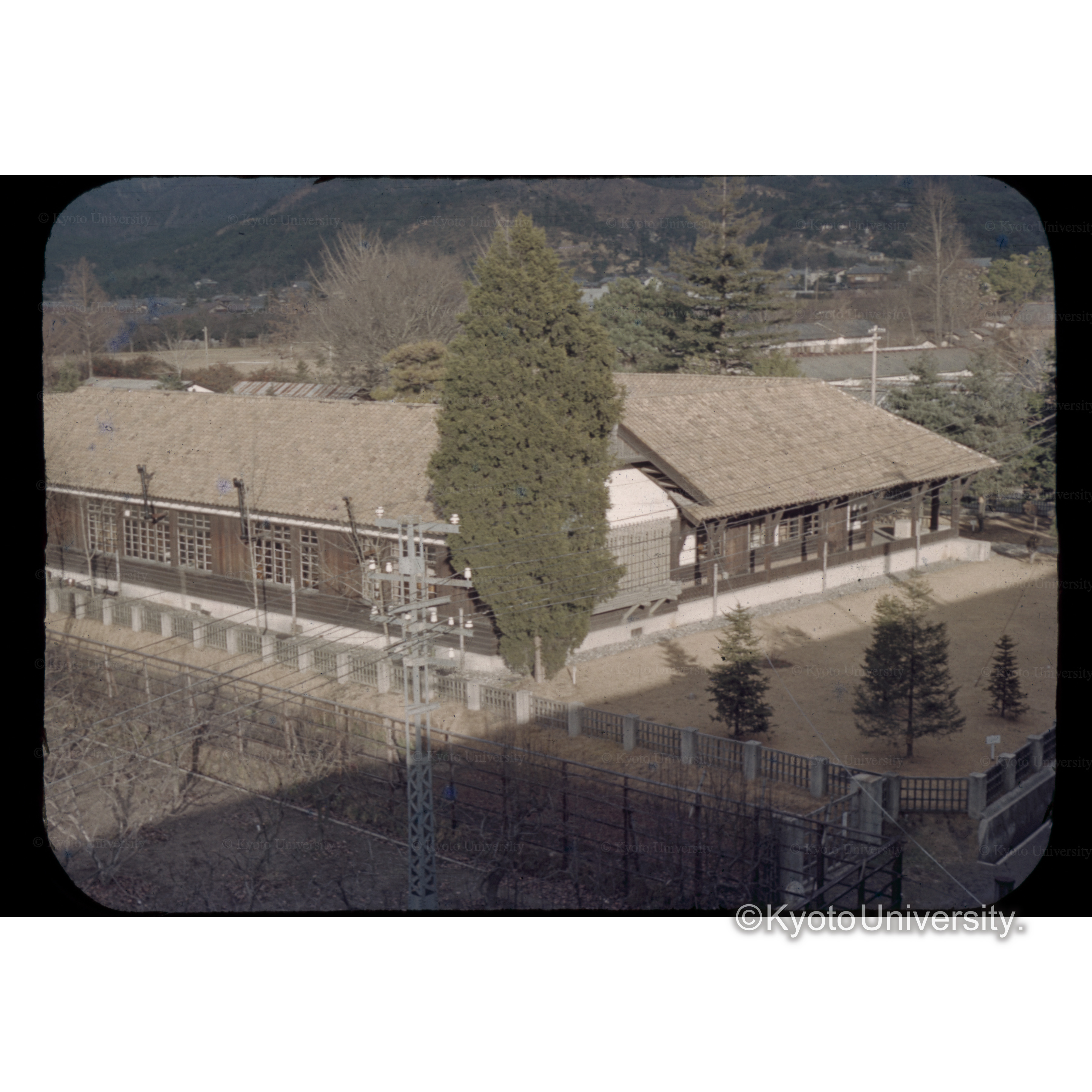 農学部屋上より演習林 (1)