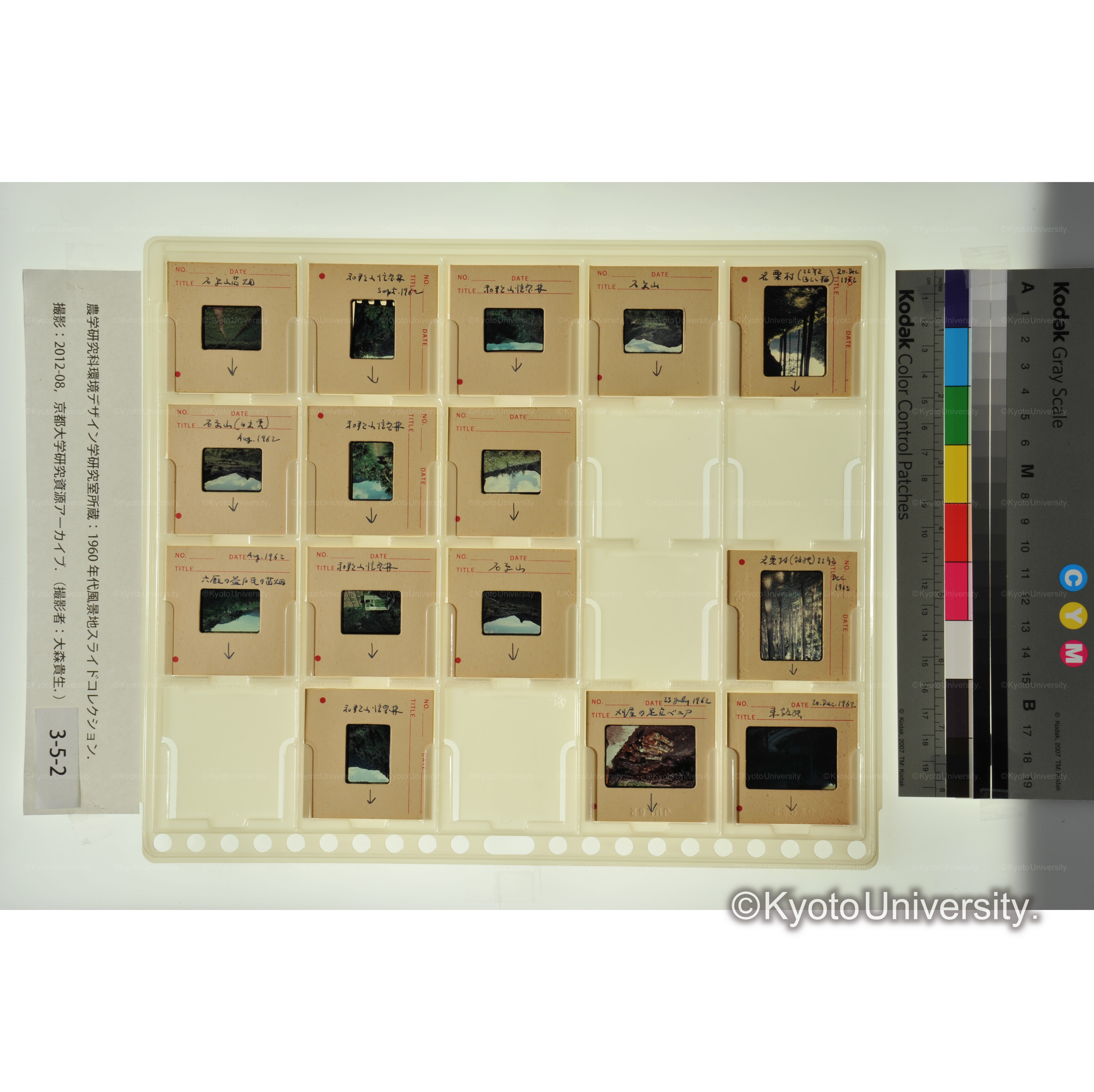 〔和歌山演習林、針葉樹、苗畑〕 (1)